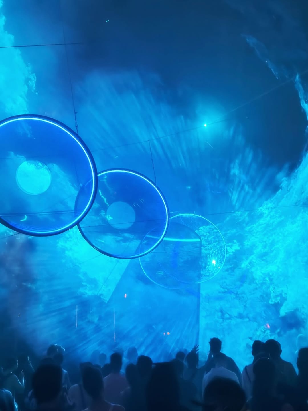 ไบร์ท - วชิรวิชญ์ ชีวอารี