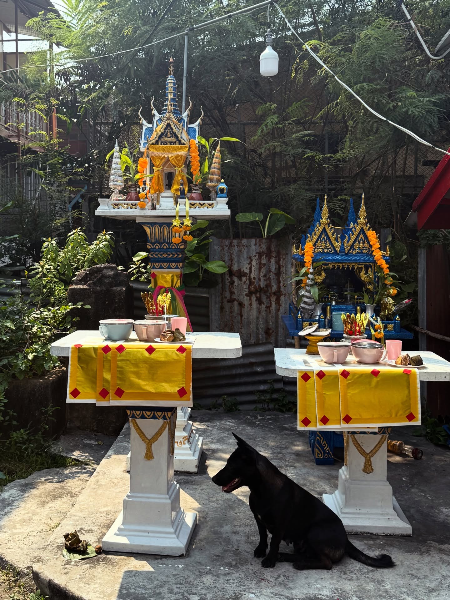 ไบร์ท - วชิรวิชญ์ ชีวอารี