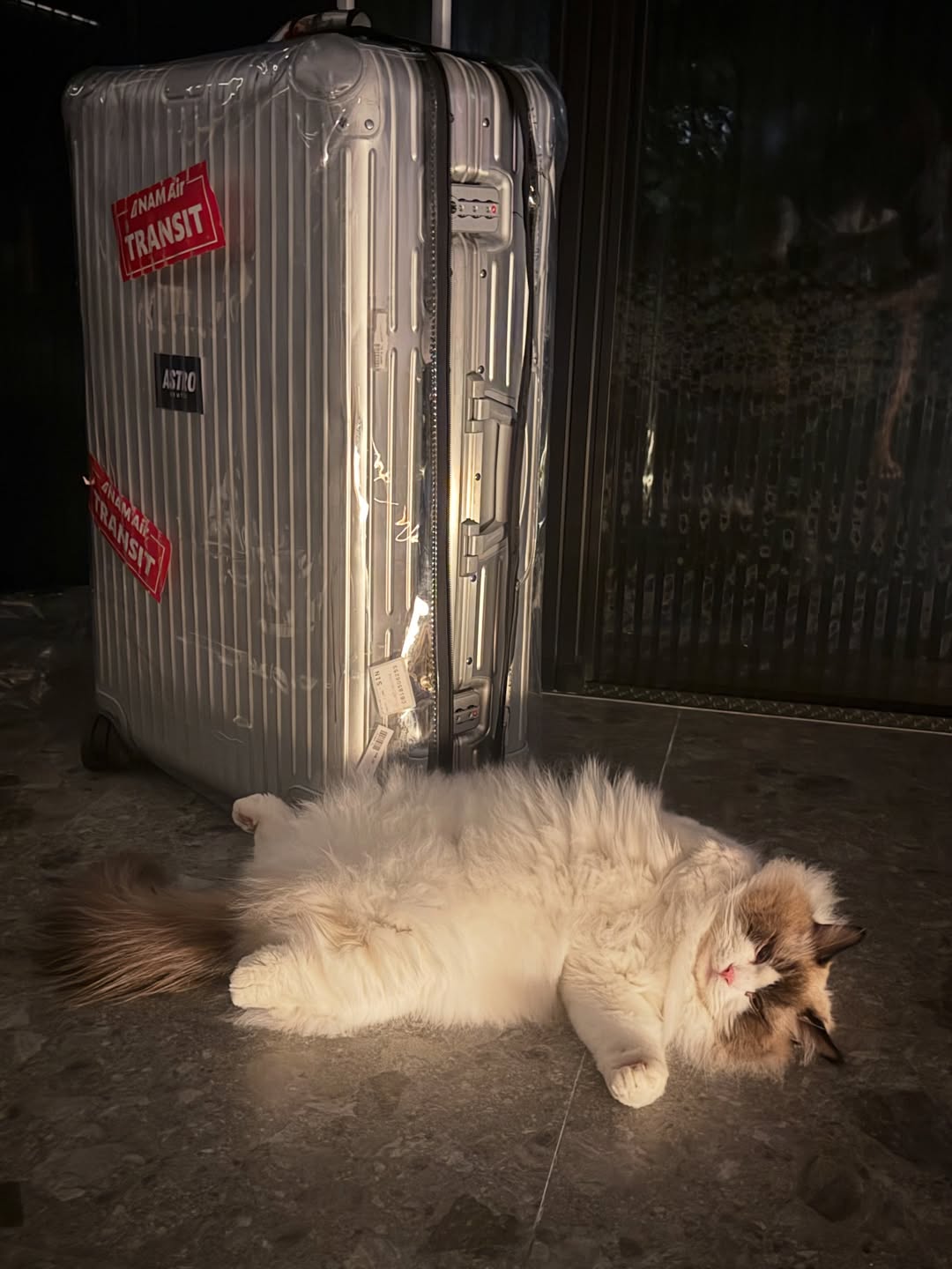 ไบร์ท - วชิรวิชญ์ ชีวอารี