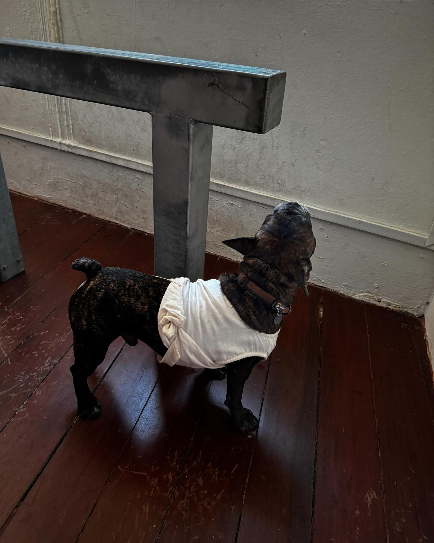 ซาร่า เล็กจ์