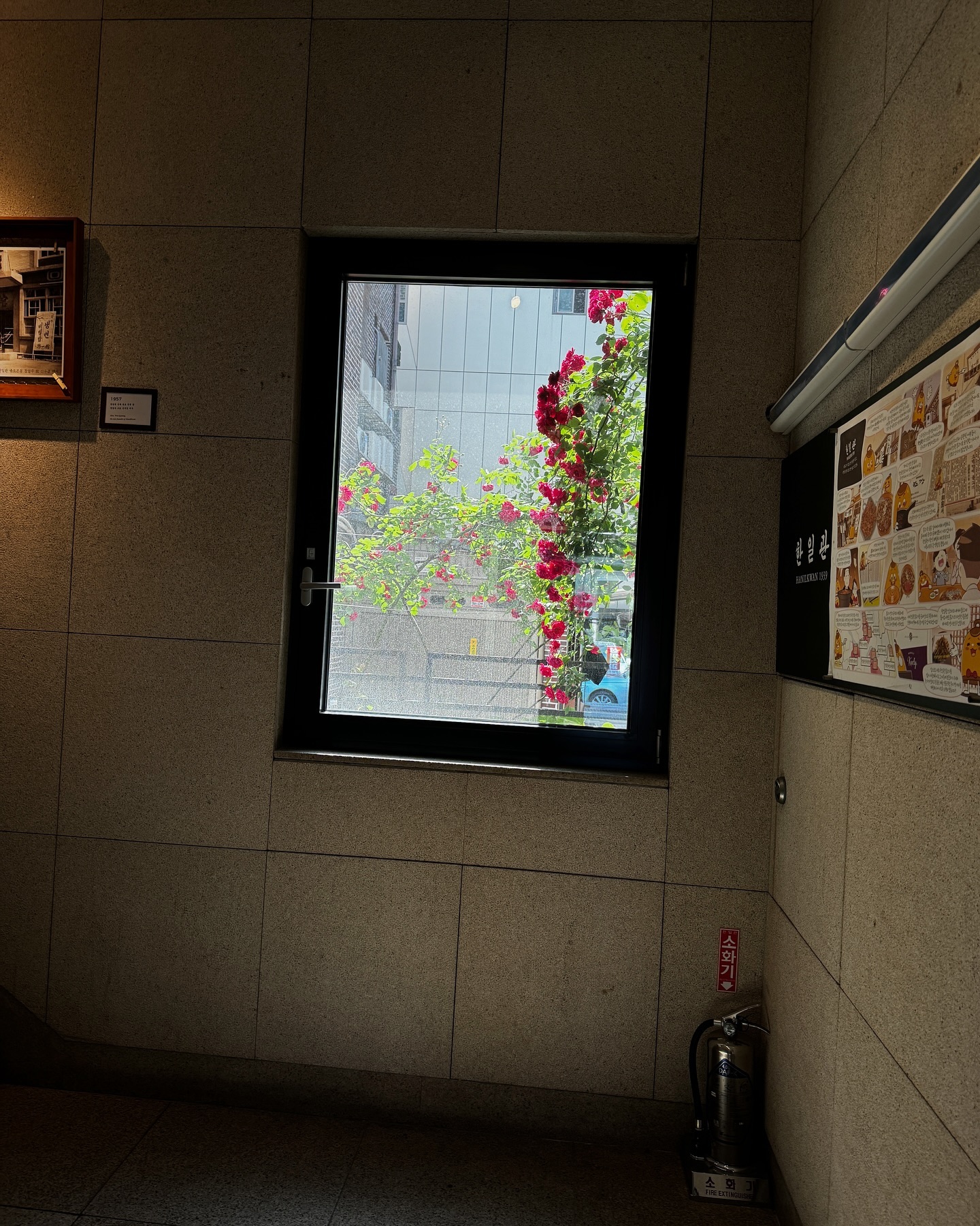 ซาร่า เล็กจ์