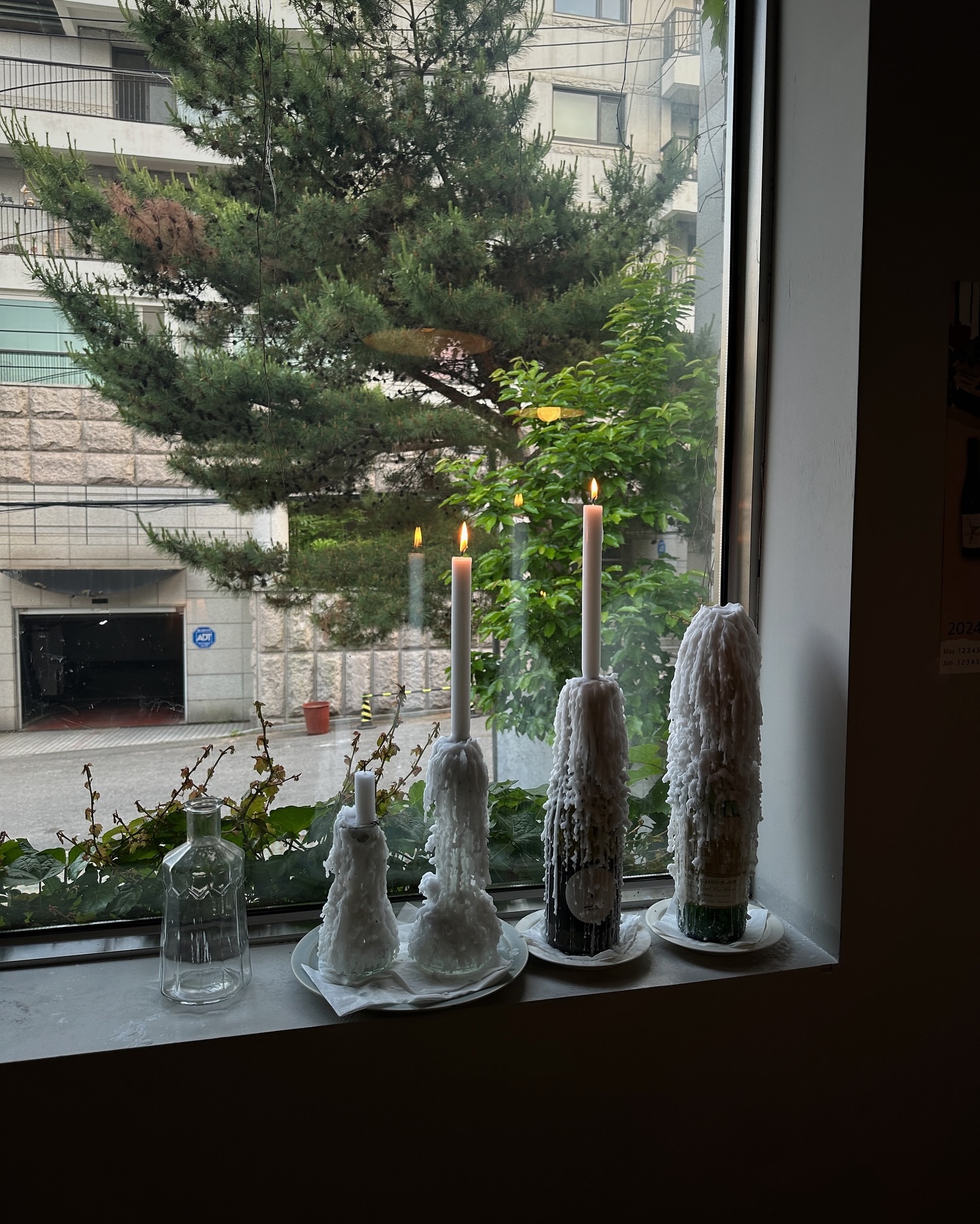 ซาร่า เล็กจ์