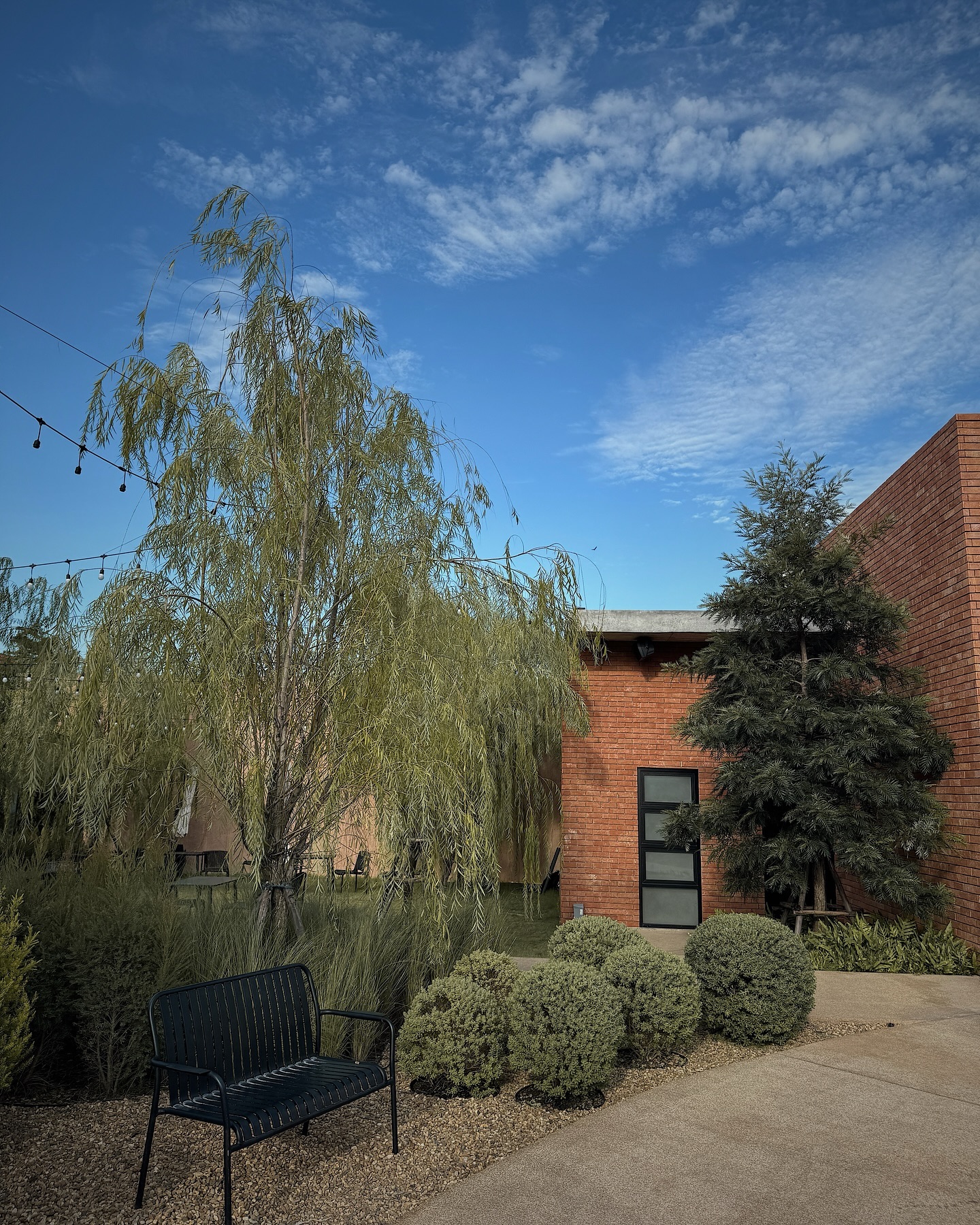 ซาร่า เล็กจ์