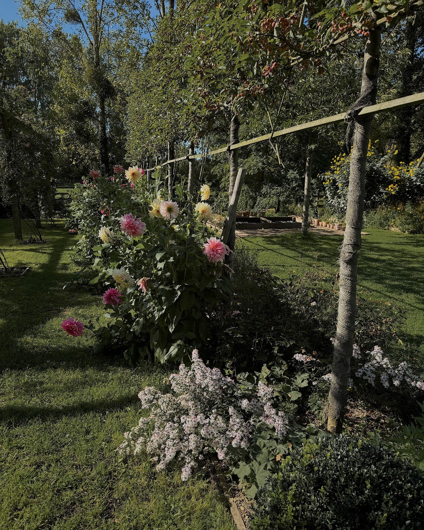 ซาร่า เล็กจ์