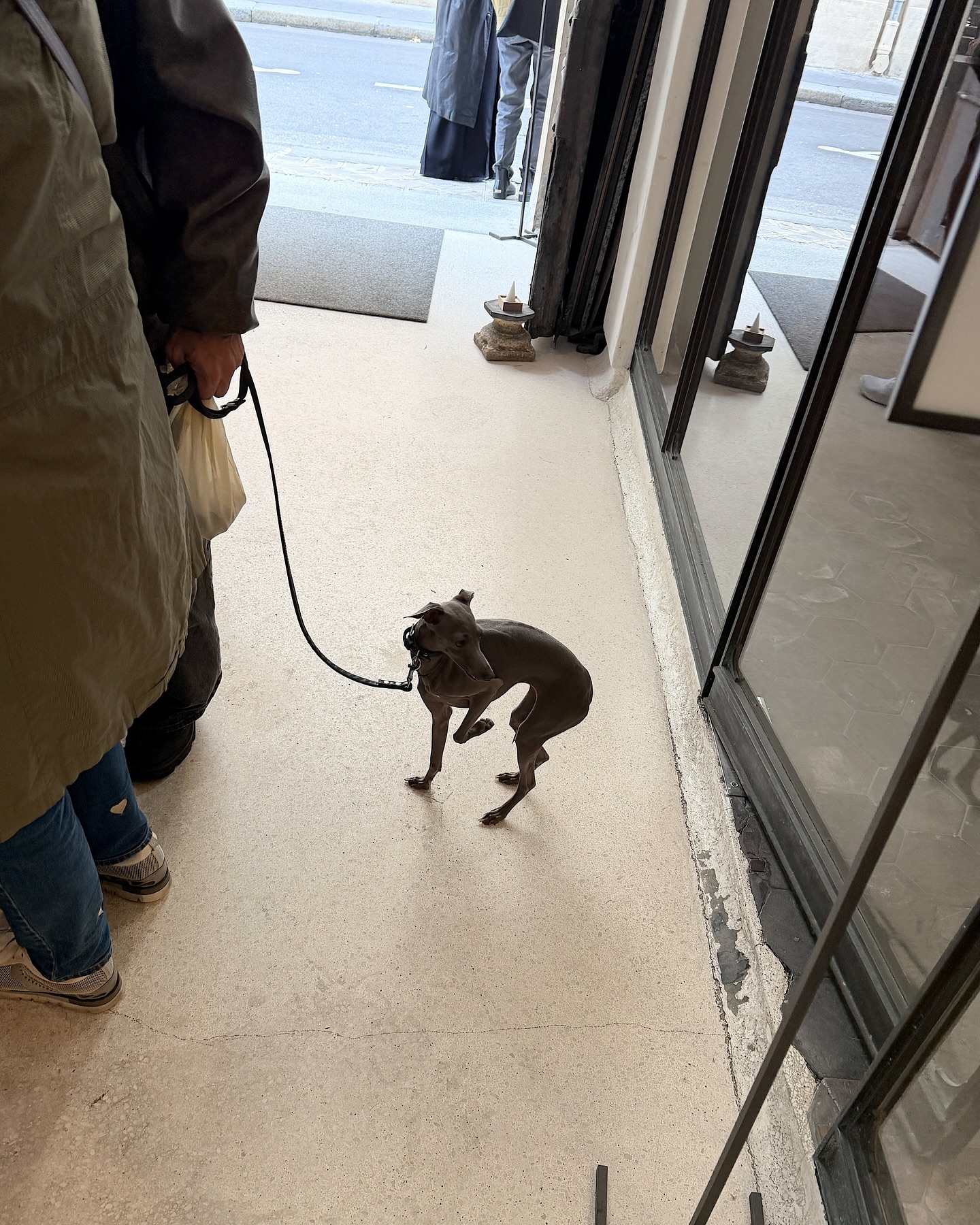 ซาร่า เล็กจ์