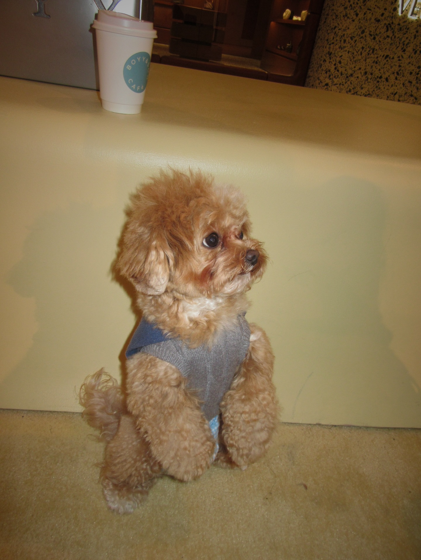 ซาร่า เล็กจ์