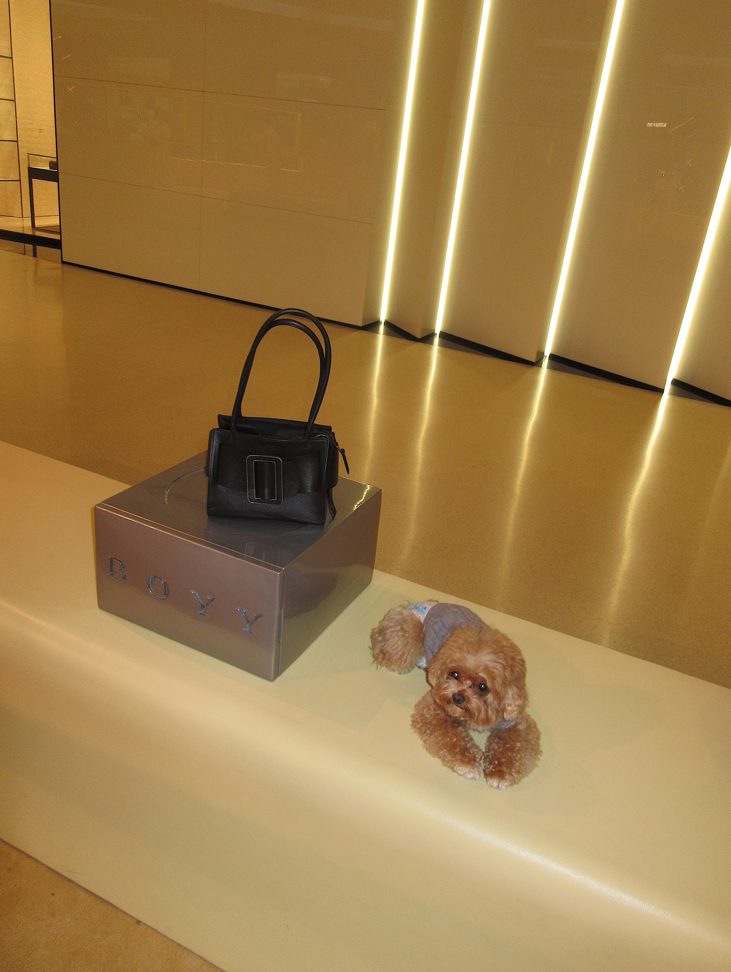 ซาร่า เล็กจ์