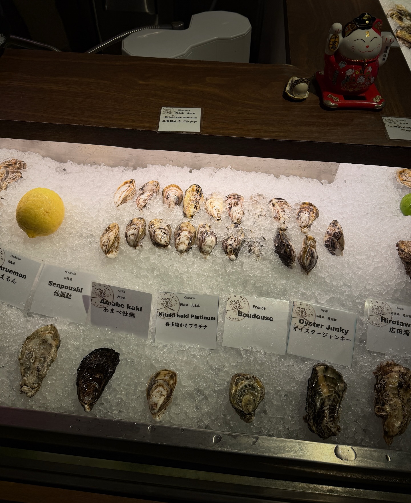 ซาร่า เล็กจ์