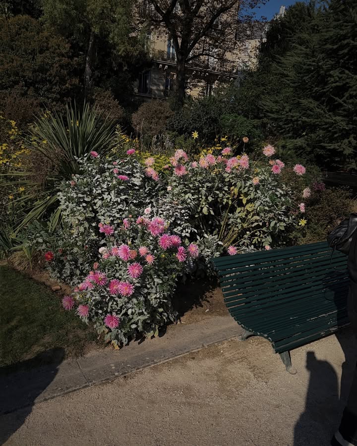 ซาร่า เล็กจ์