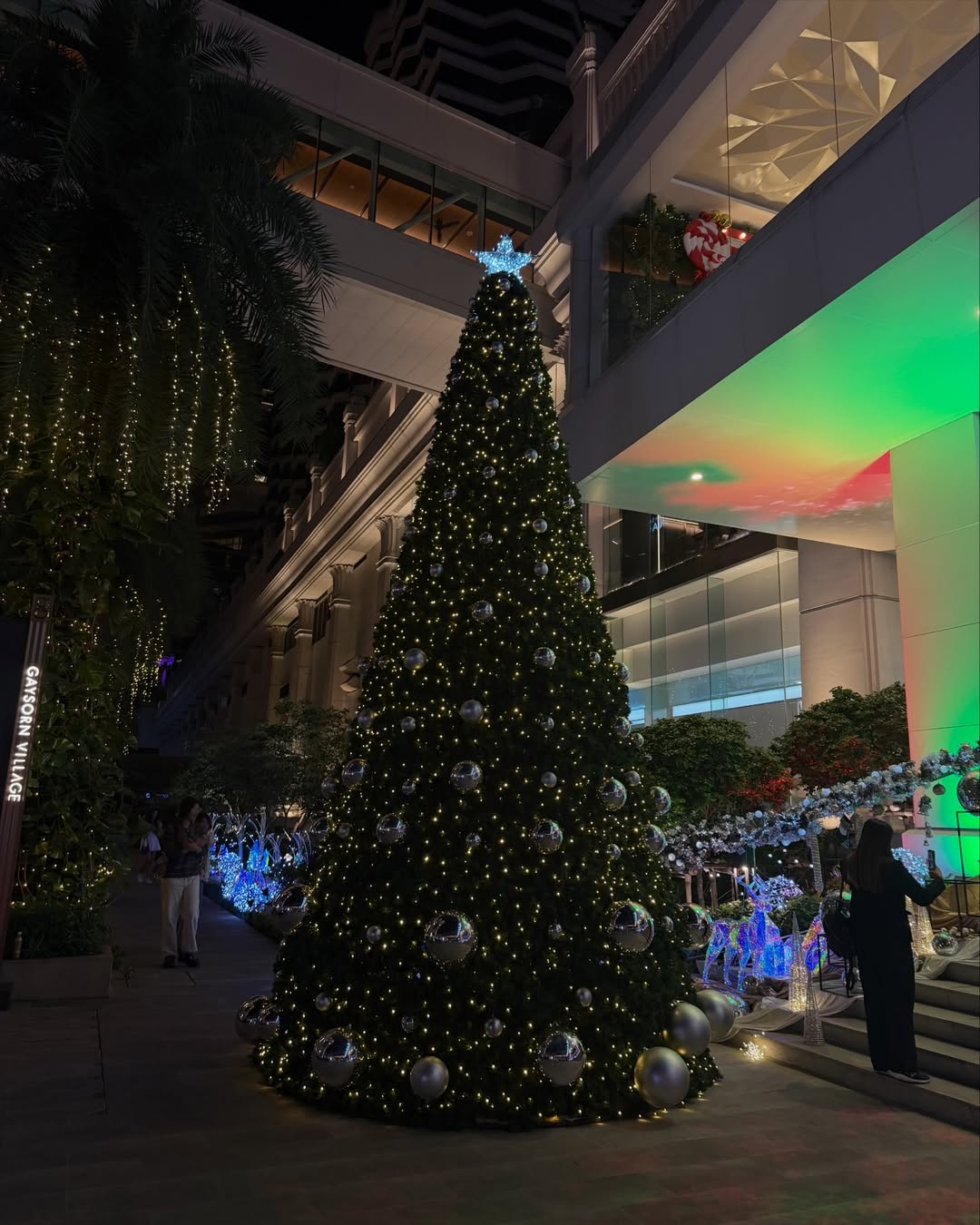 ซาร่า เล็กจ์