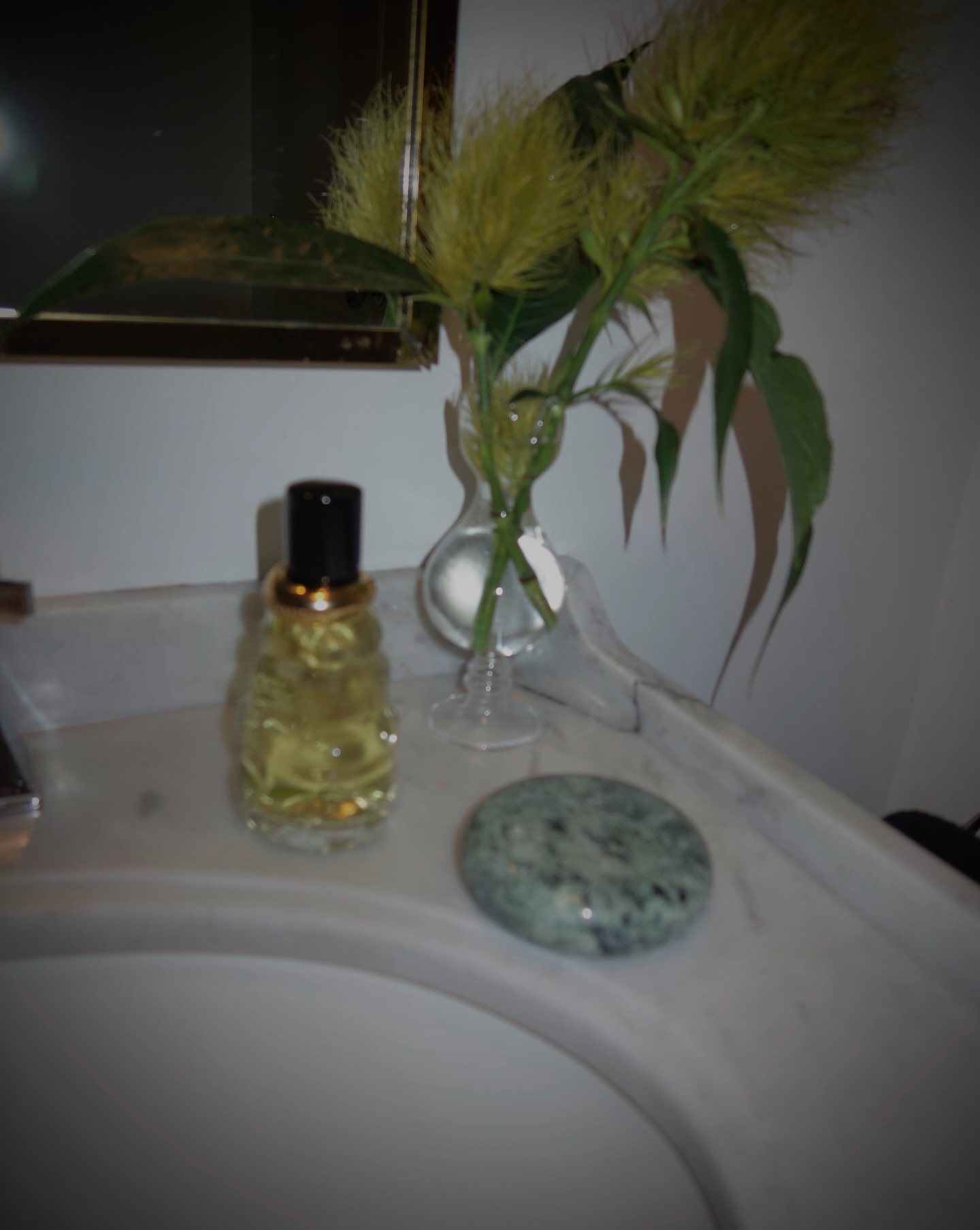 ซาร่า เล็กจ์