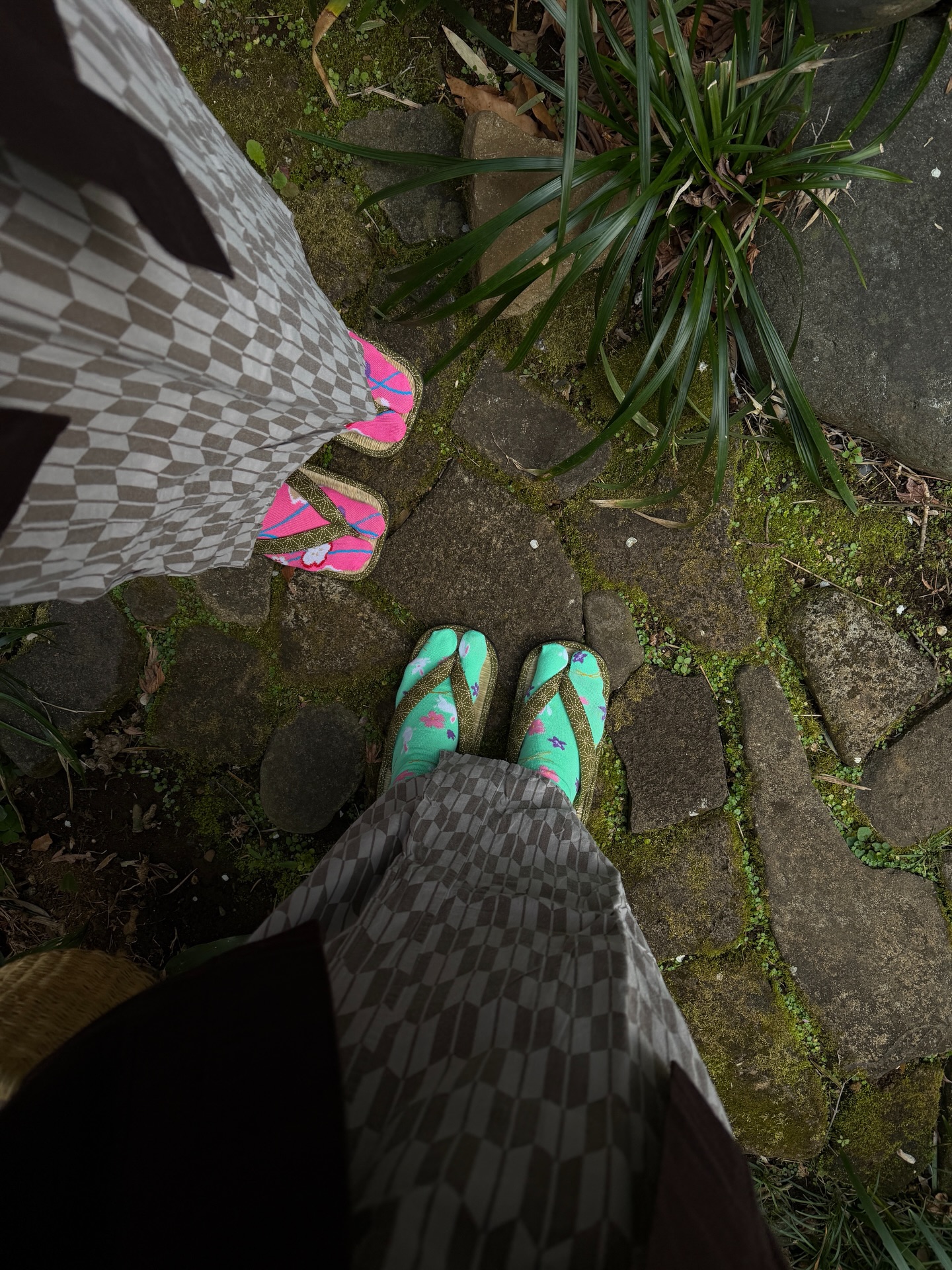 ซาร่า เล็กจ์