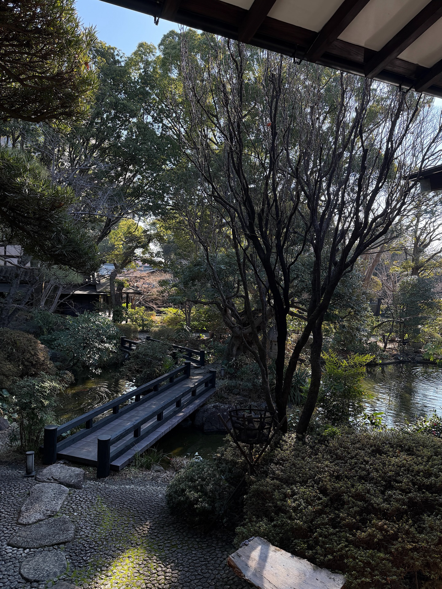 ซาร่า เล็กจ์