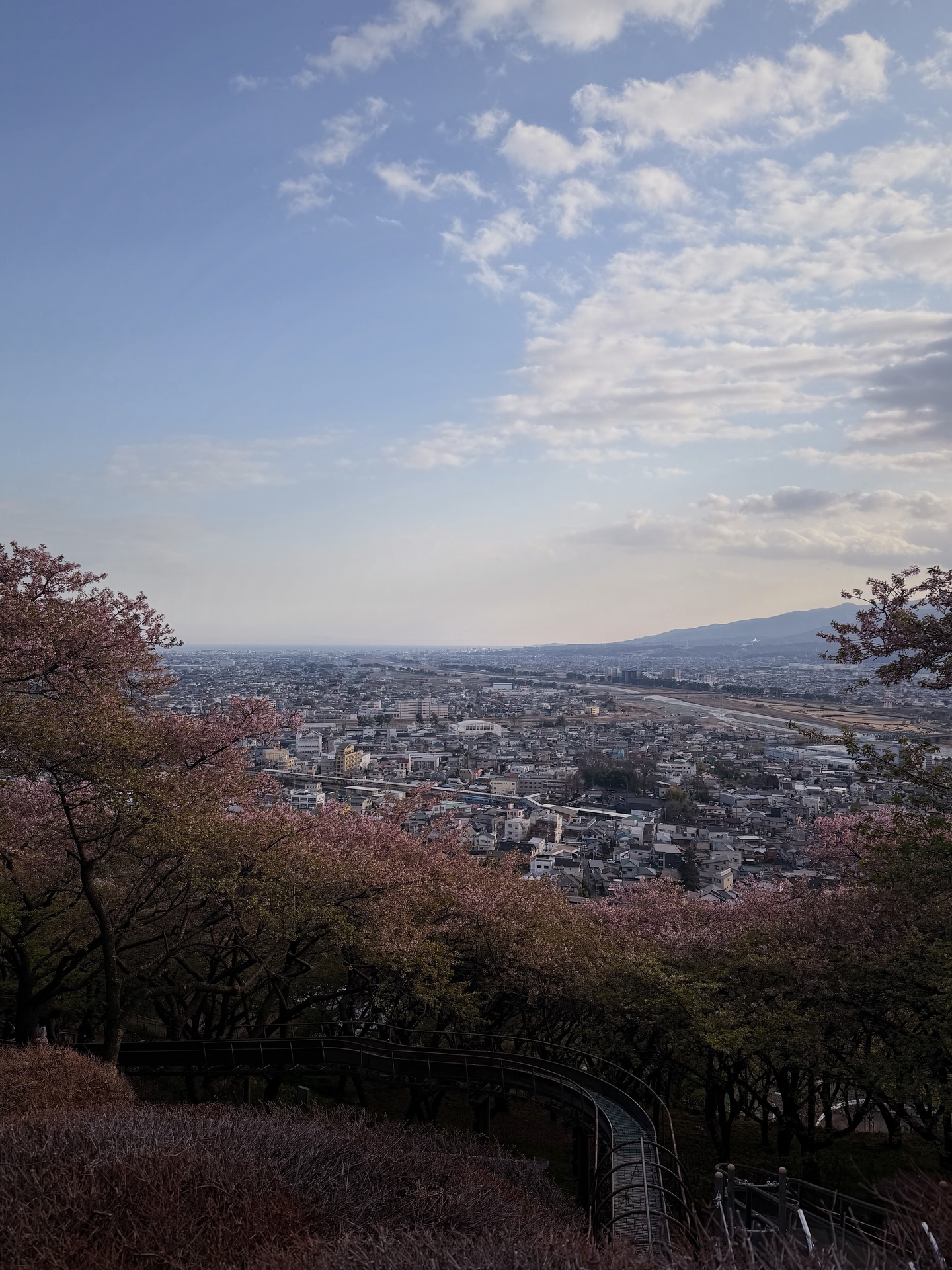 ซาร่า เล็กจ์