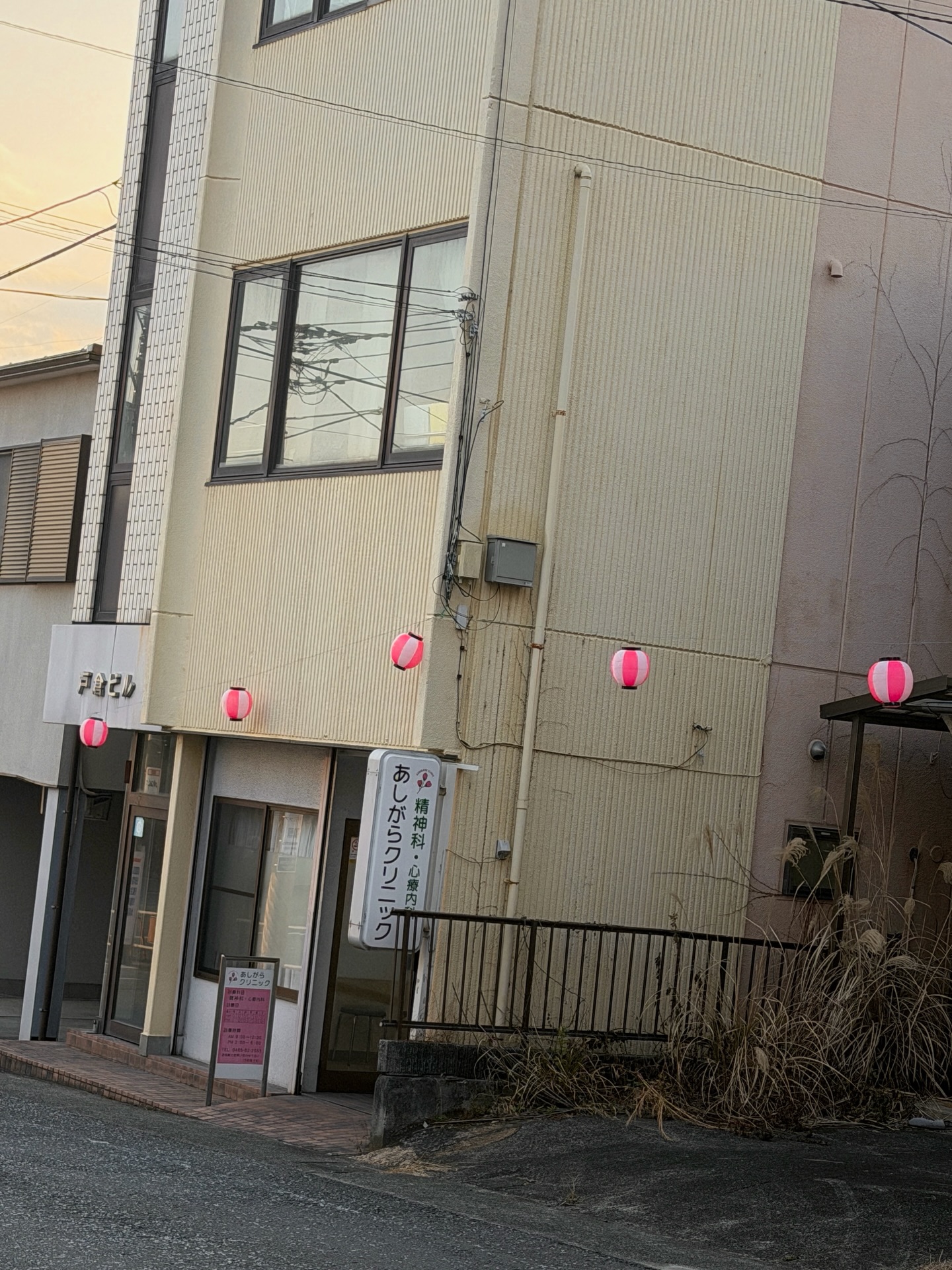 ซาร่า เล็กจ์