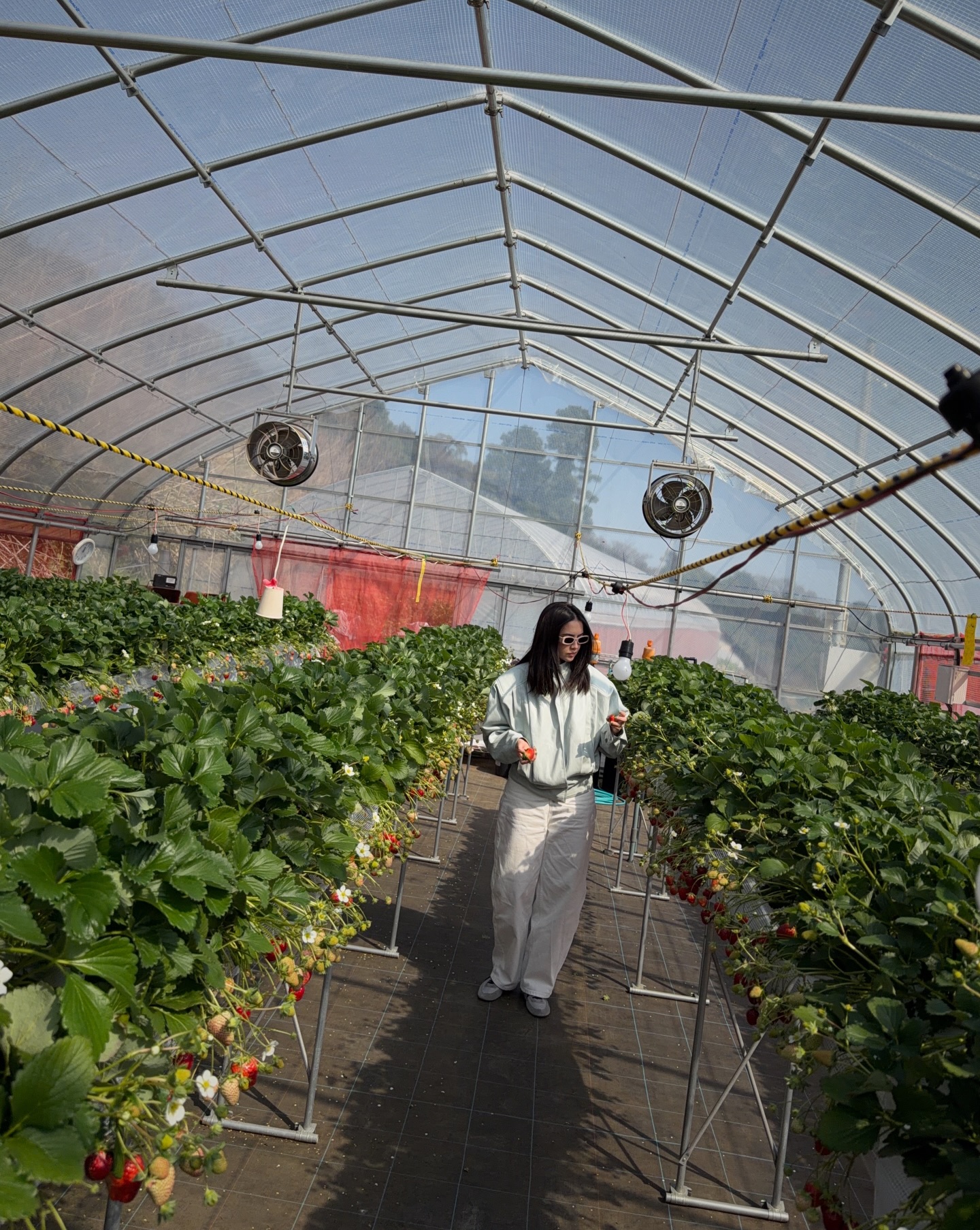 ซาร่า เล็กจ์