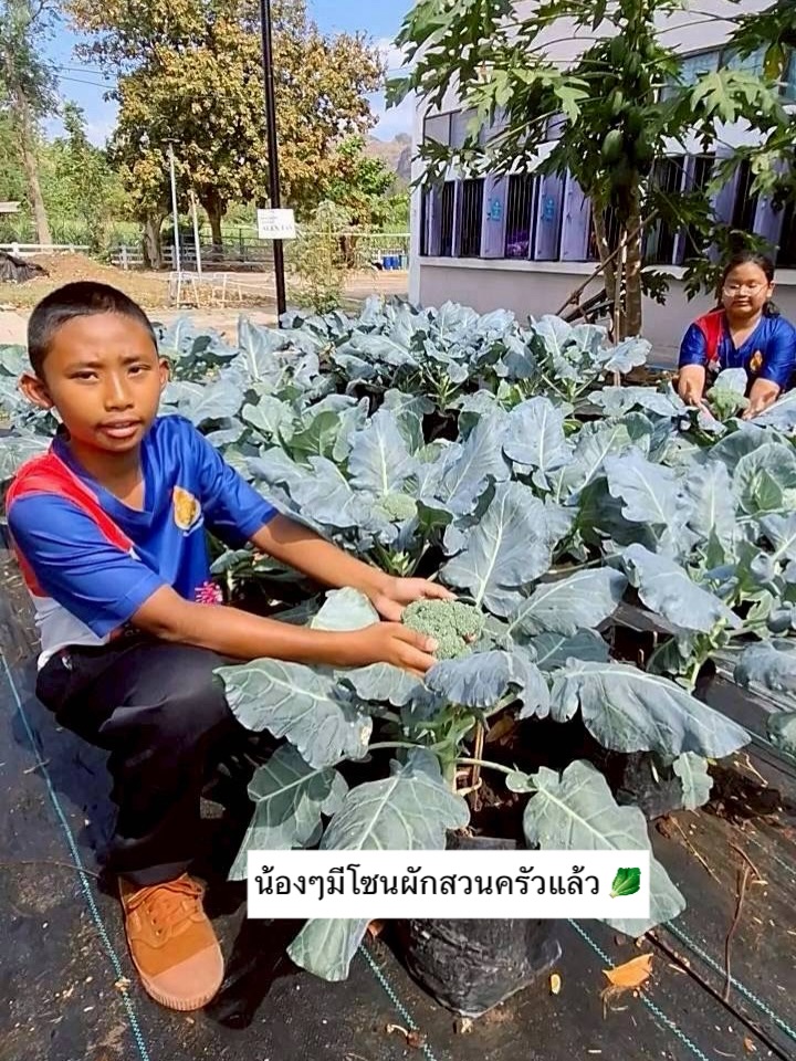 บอย - อนุวัฒน์ สงวนศักดิ์ภักดี