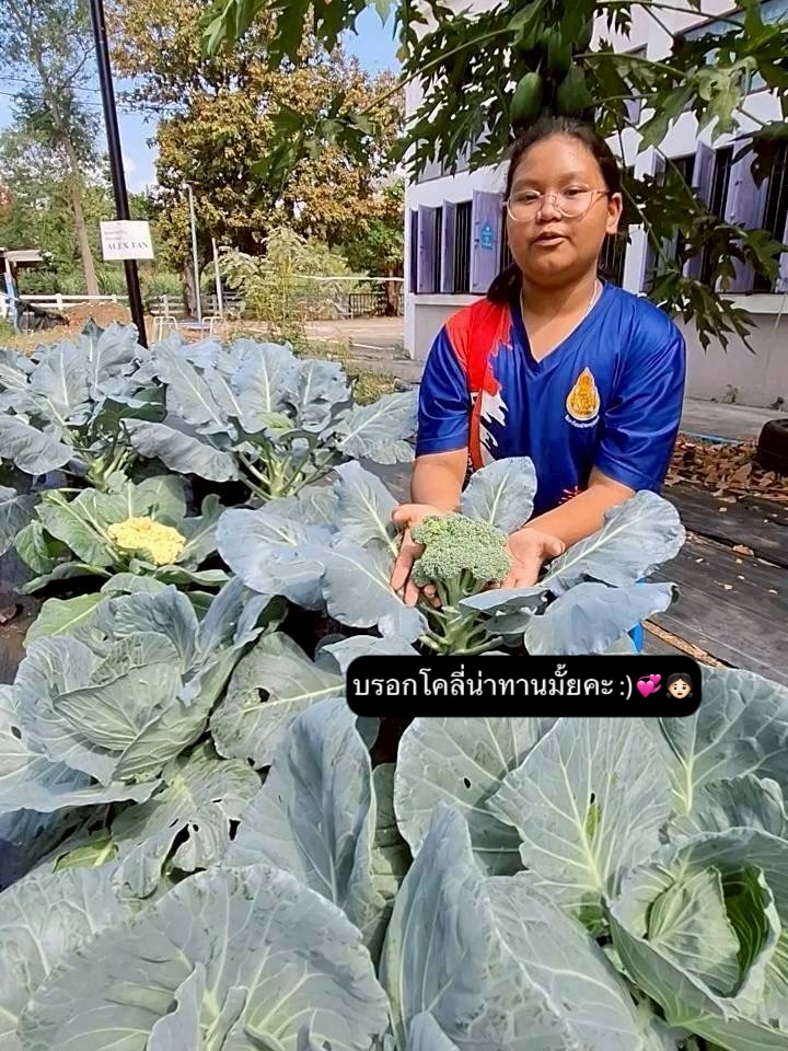 บอย - อนุวัฒน์ สงวนศักดิ์ภักดี