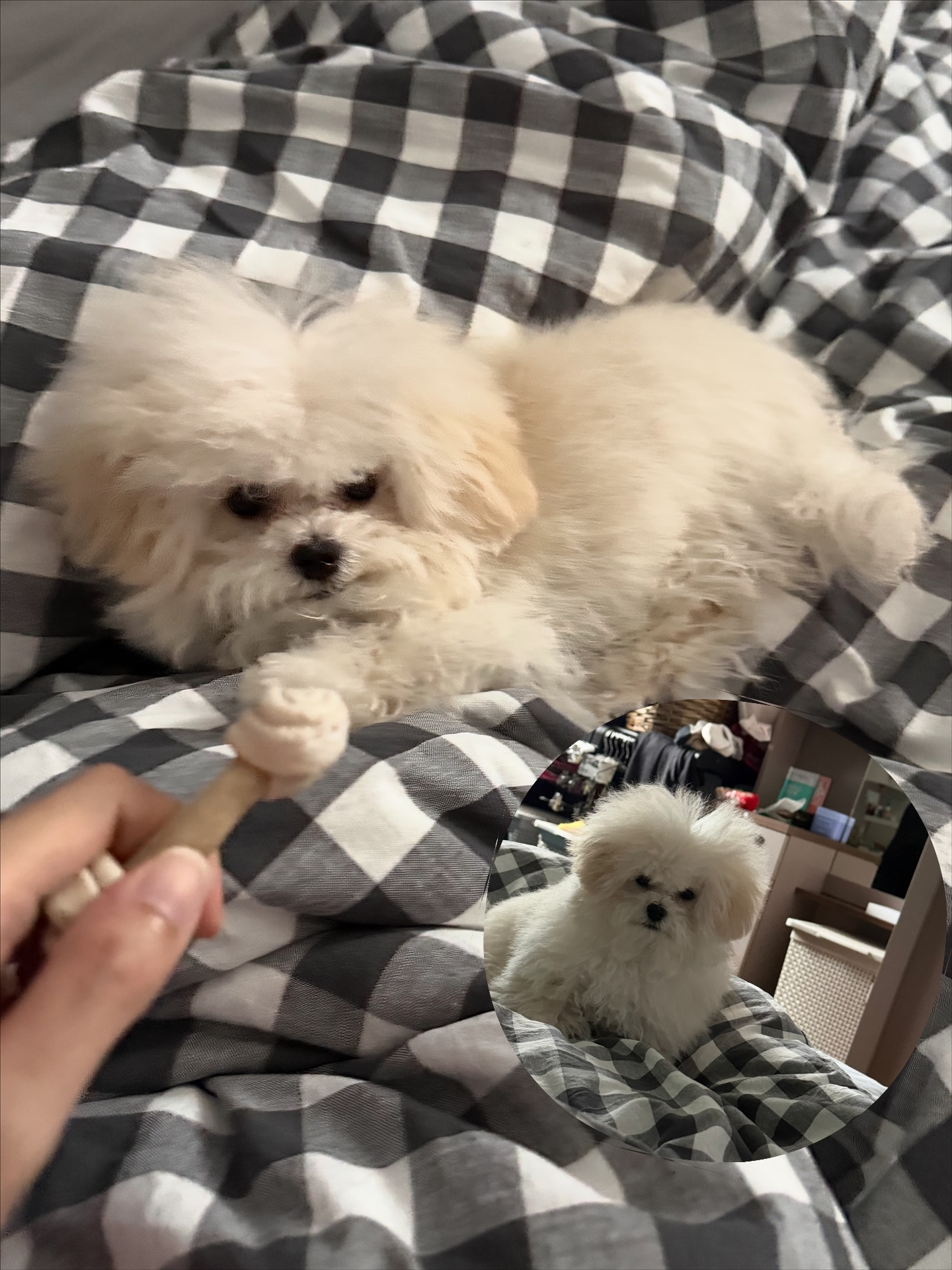 เฟรม - ศุภัคชญา สุขใบเย็น