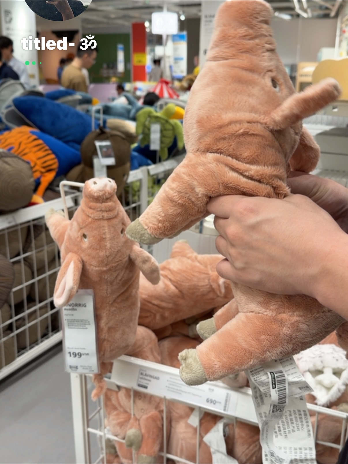 เฟรม - ศุภัคชญา สุขใบเย็น