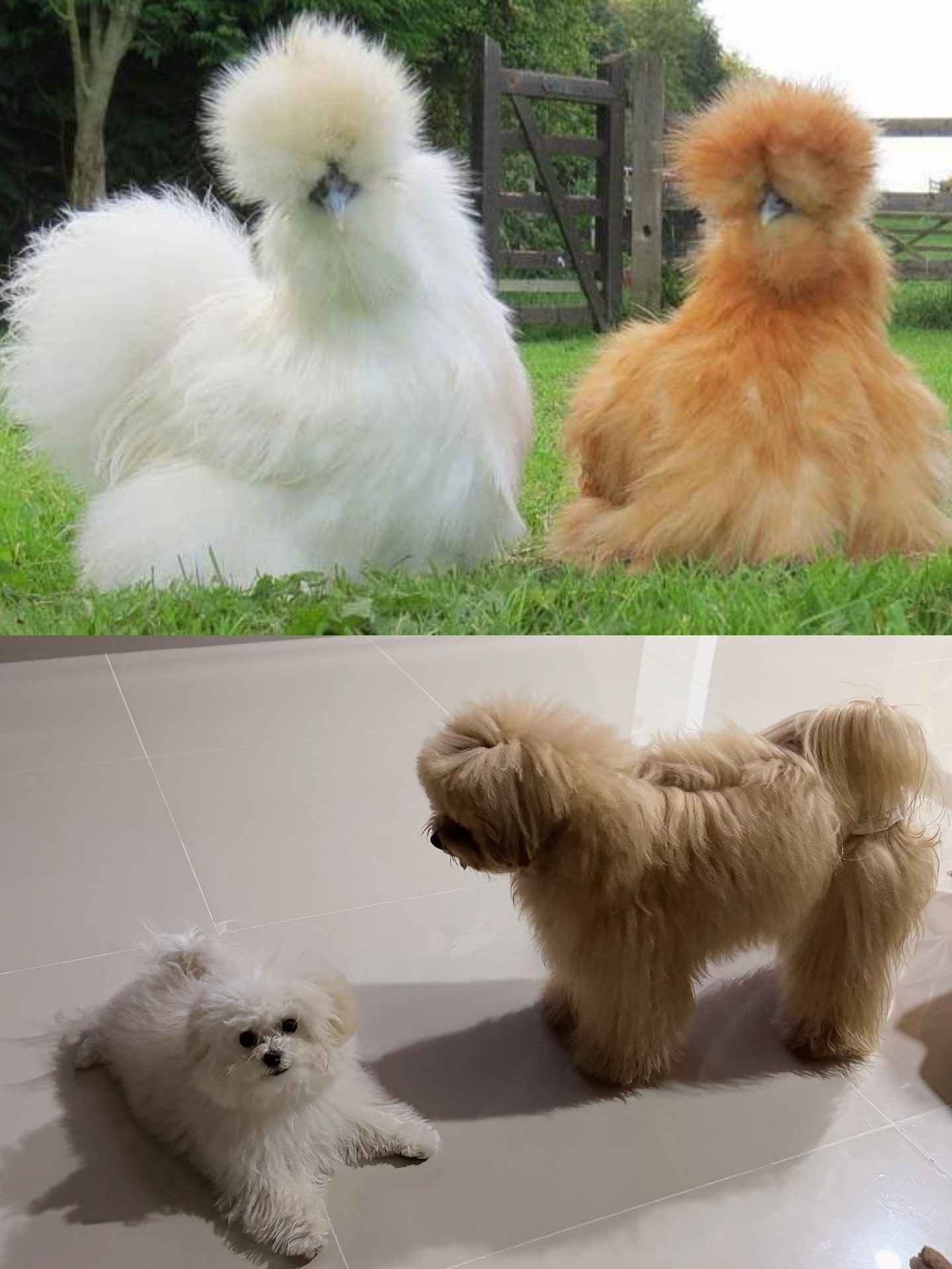 เฟรม - ศุภัคชญา สุขใบเย็น