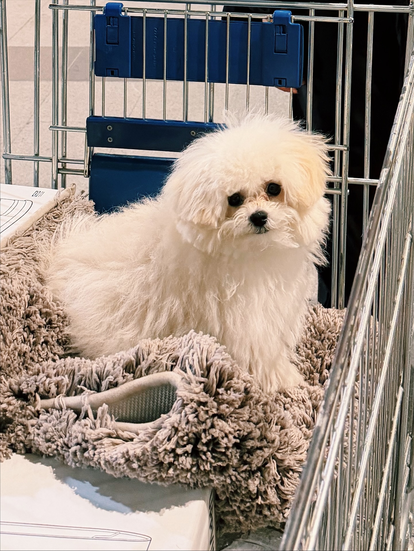 เฟรม - ศุภัคชญา สุขใบเย็น