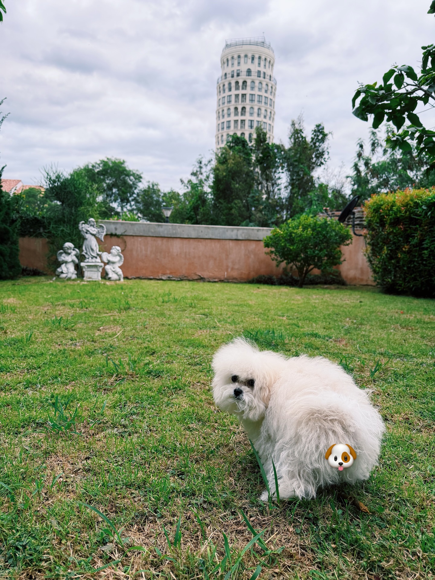 เฟรม - ศุภัคชญา สุขใบเย็น