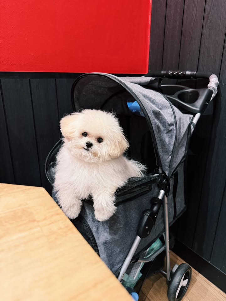 เฟรม - ศุภัคชญา สุขใบเย็น