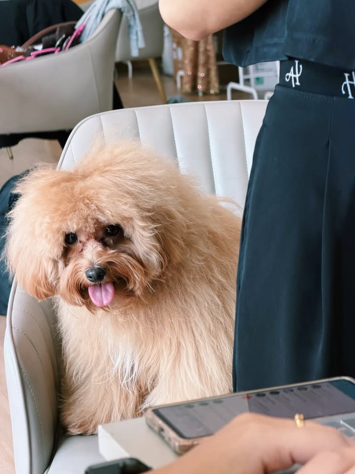 เฟรม - ศุภัคชญา สุขใบเย็น