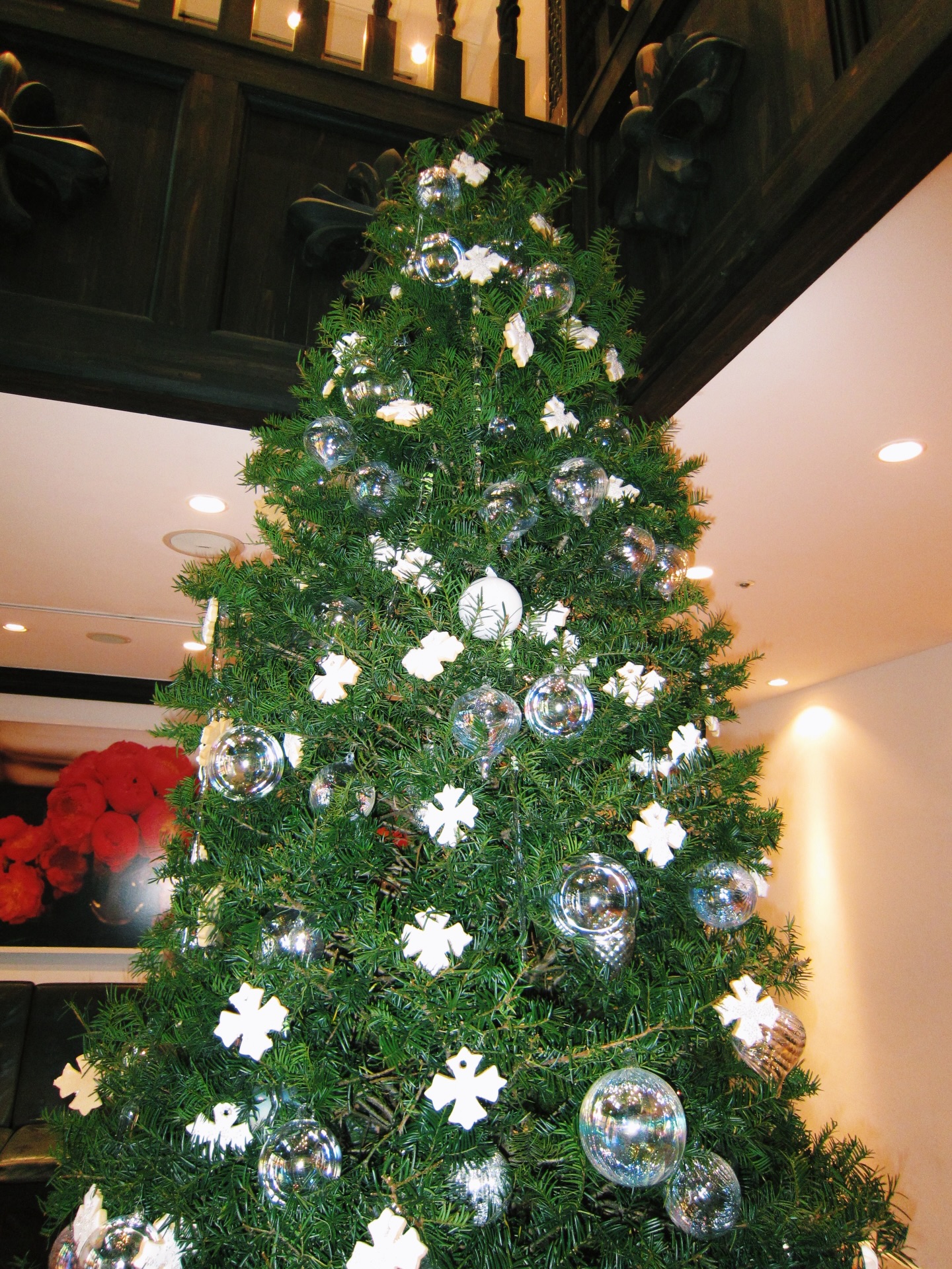 เฟรม - ศุภัคชญา สุขใบเย็น