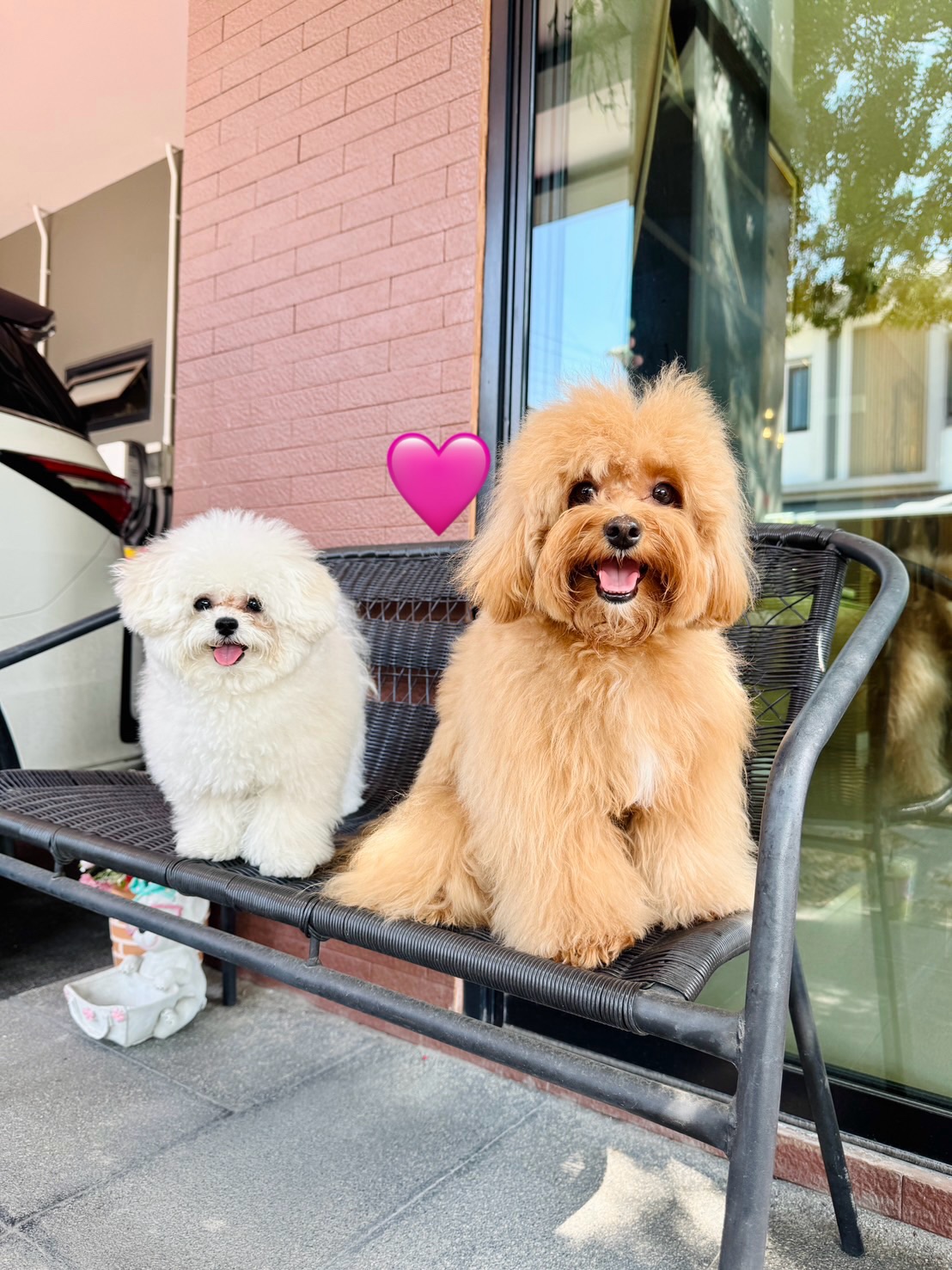 เฟรม - ศุภัคชญา สุขใบเย็น