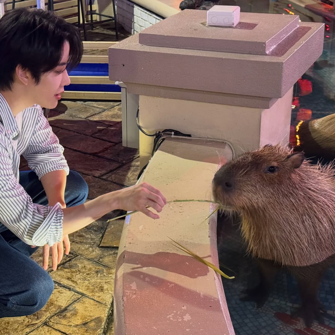 ไมค์ - พิรัชต์ นิธิไพศาลกุล