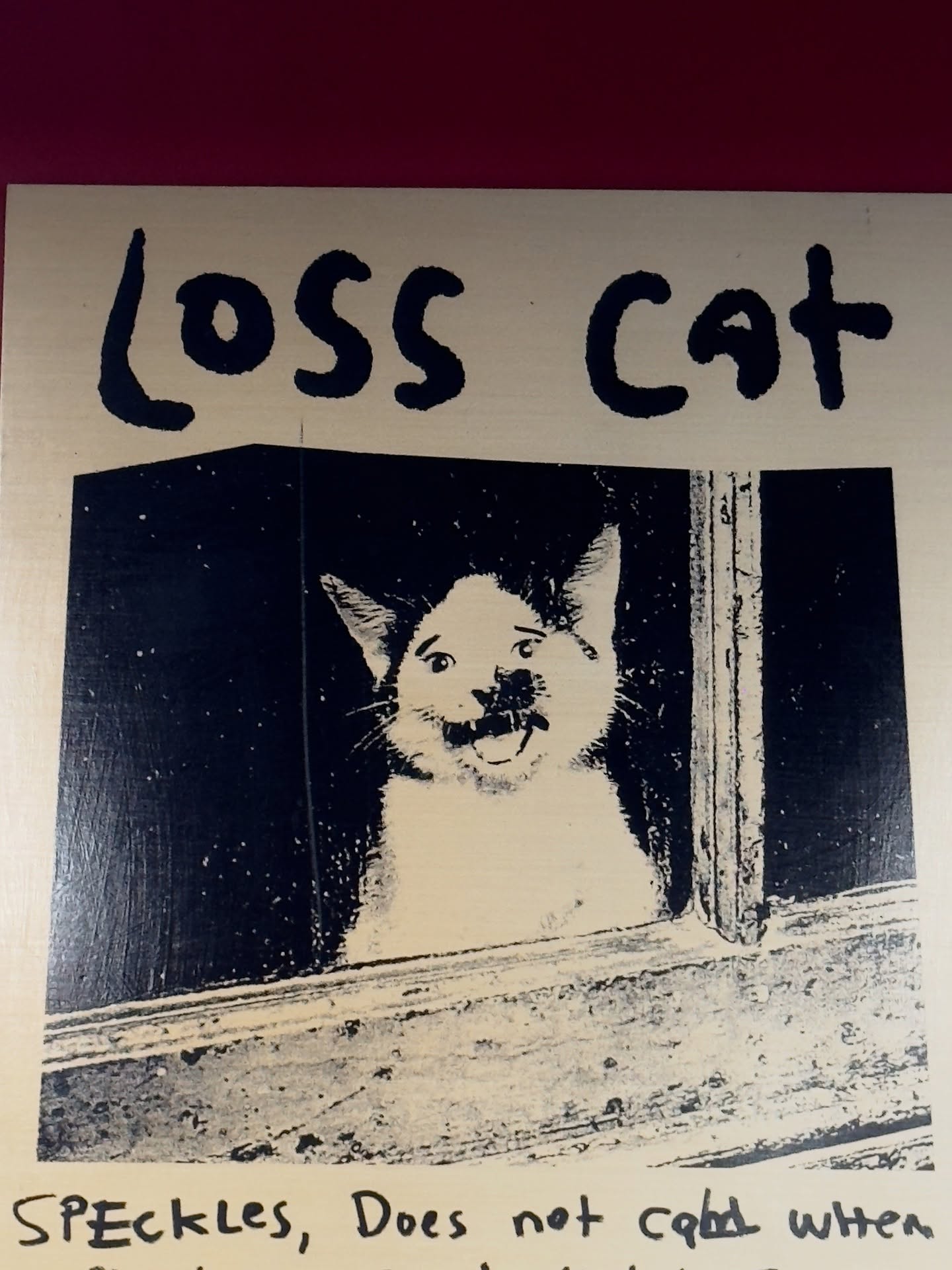 จอส - เวอาห์ แสงเงิน