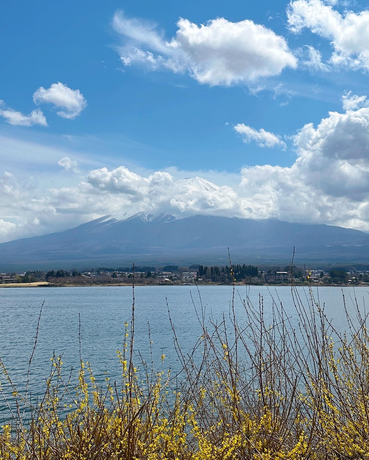 บัว - นลินทิพย์ สกุลอ่องอำไพ