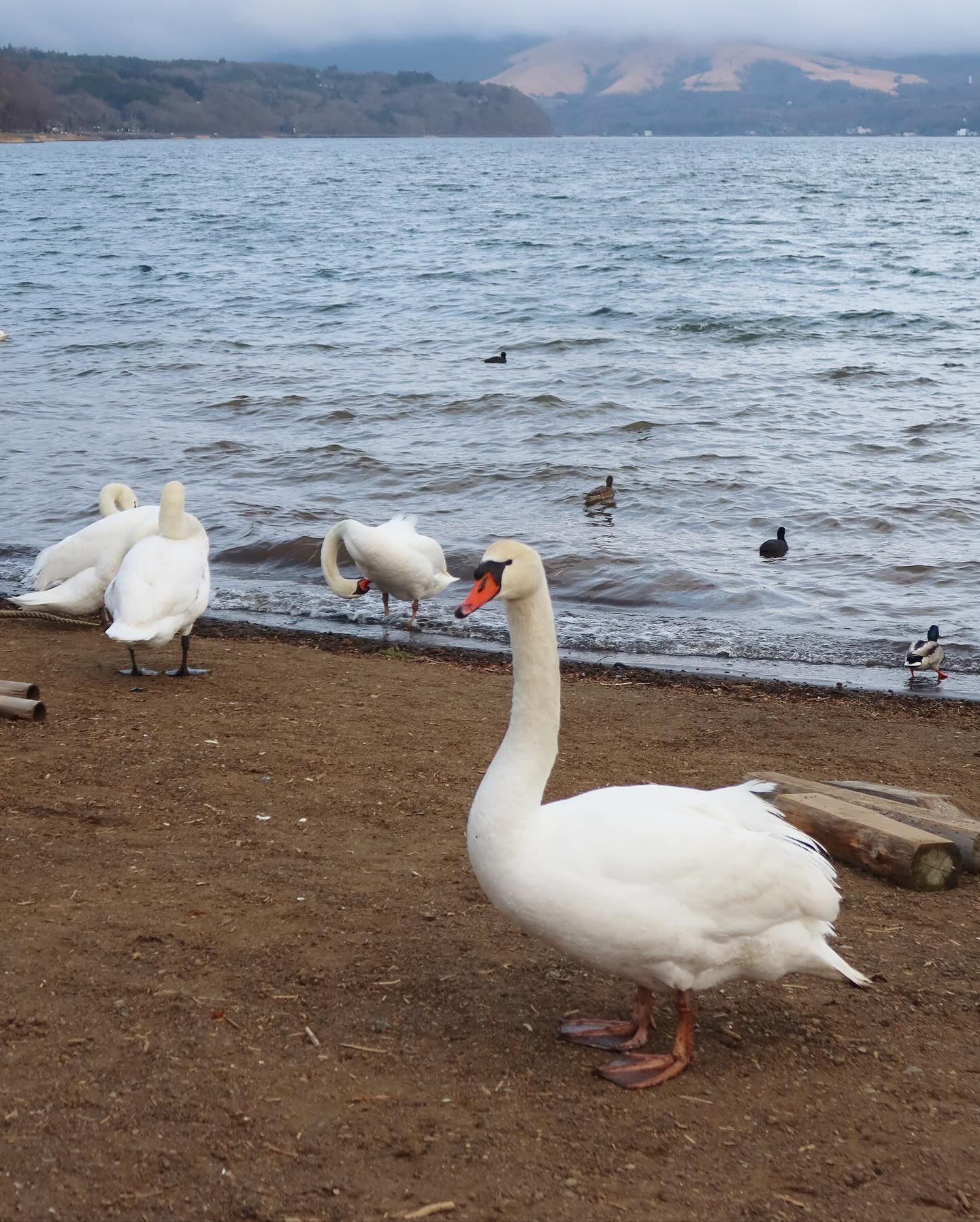 บัว - นลินทิพย์ สกุลอ่องอำไพ