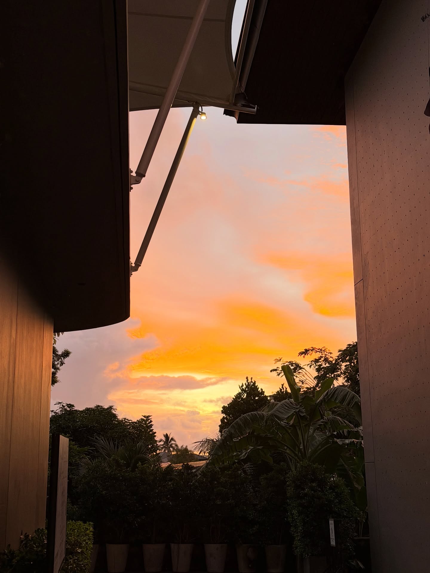 บัว - นลินทิพย์ สกุลอ่องอำไพ