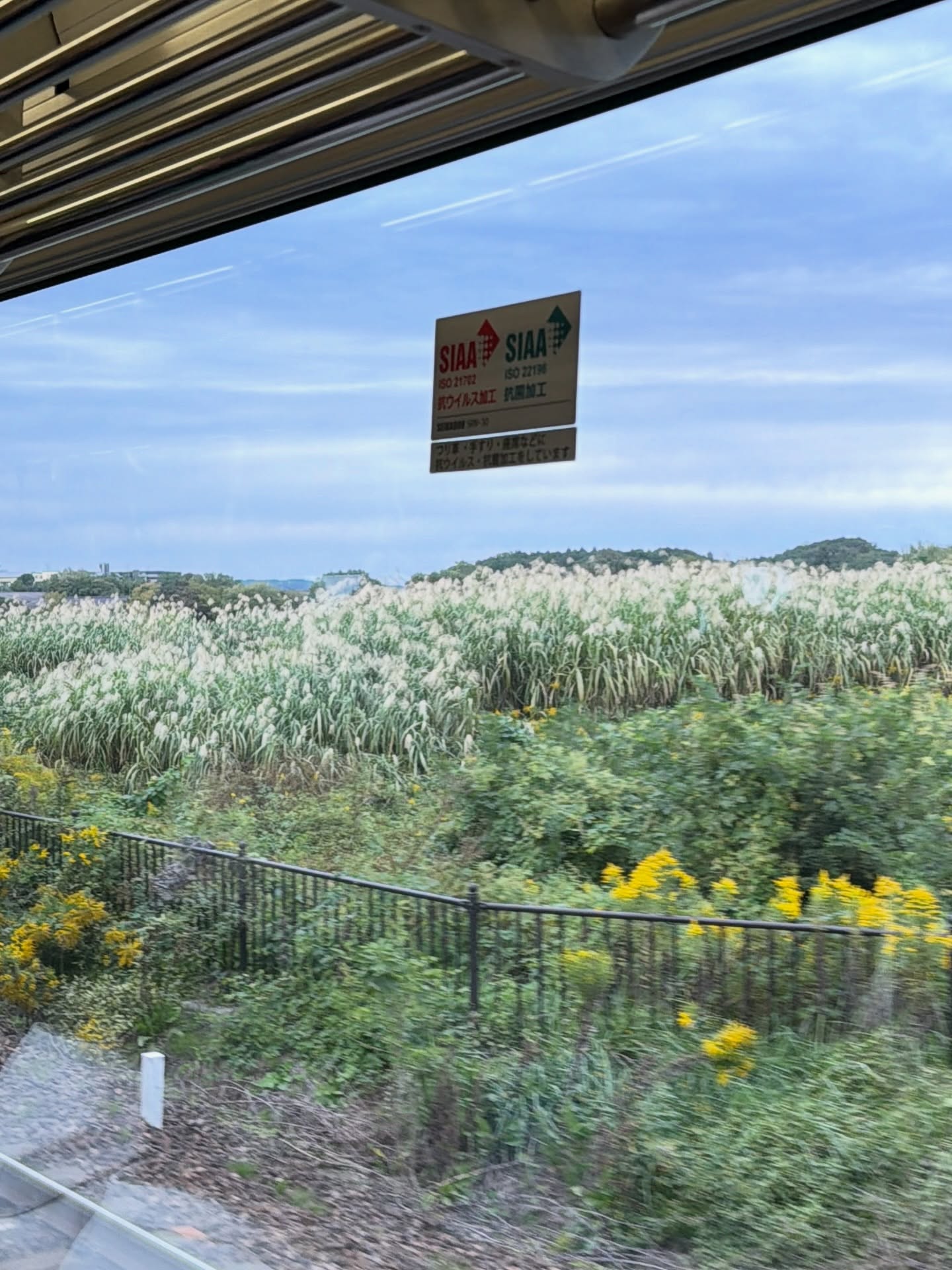 บัว - นลินทิพย์ สกุลอ่องอำไพ