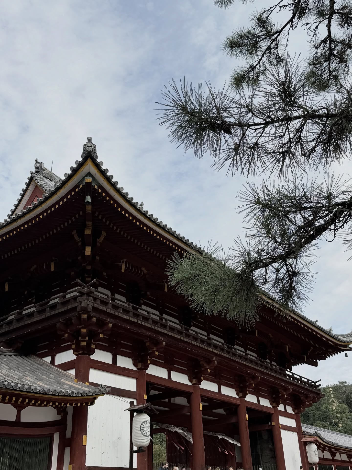 บัว - นลินทิพย์ สกุลอ่องอำไพ