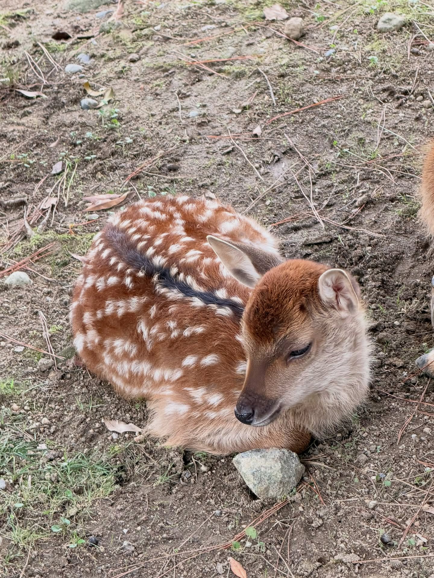 บัว - นลินทิพย์ สกุลอ่องอำไพ
