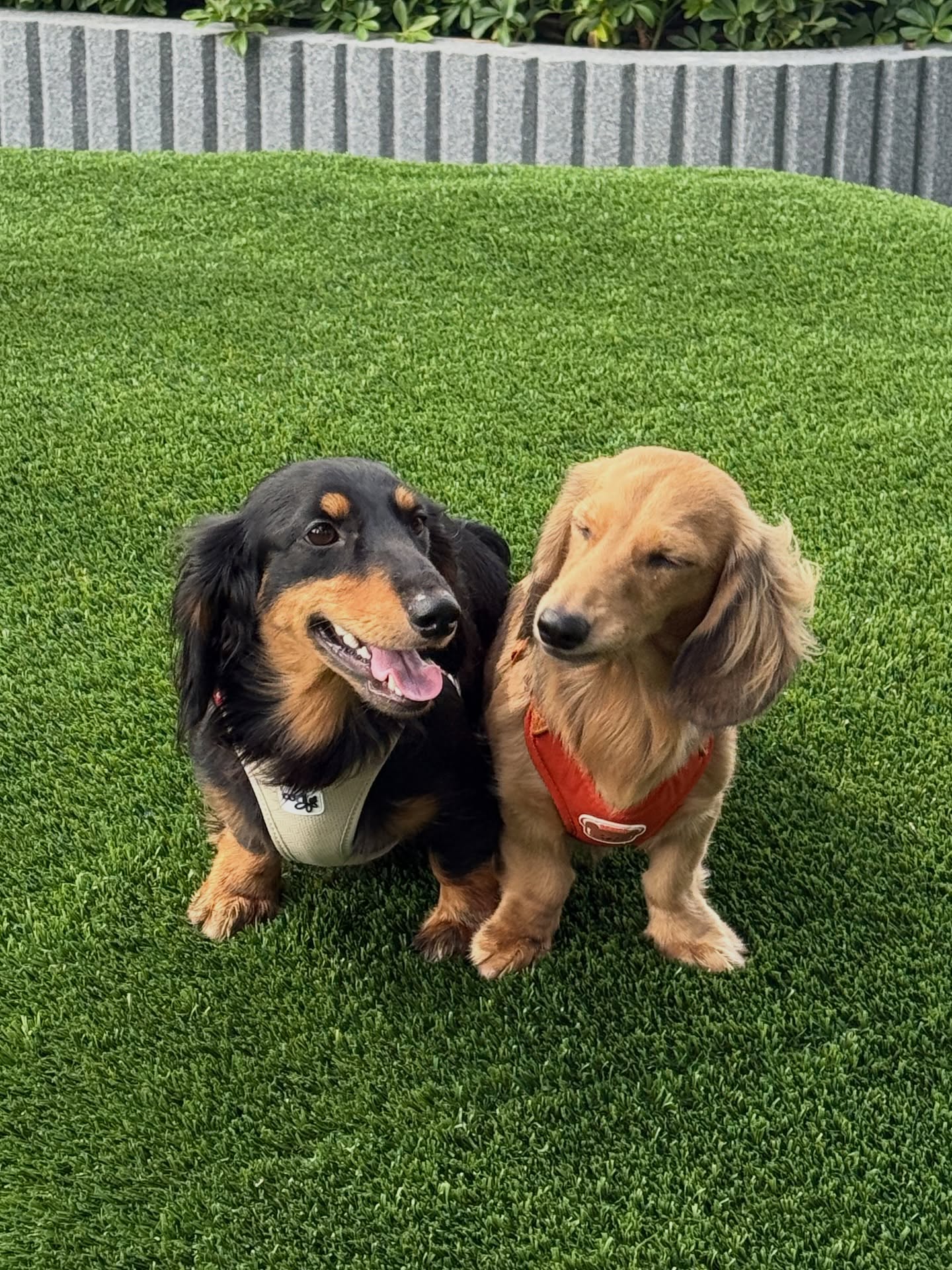 บัว - นลินทิพย์ สกุลอ่องอำไพ