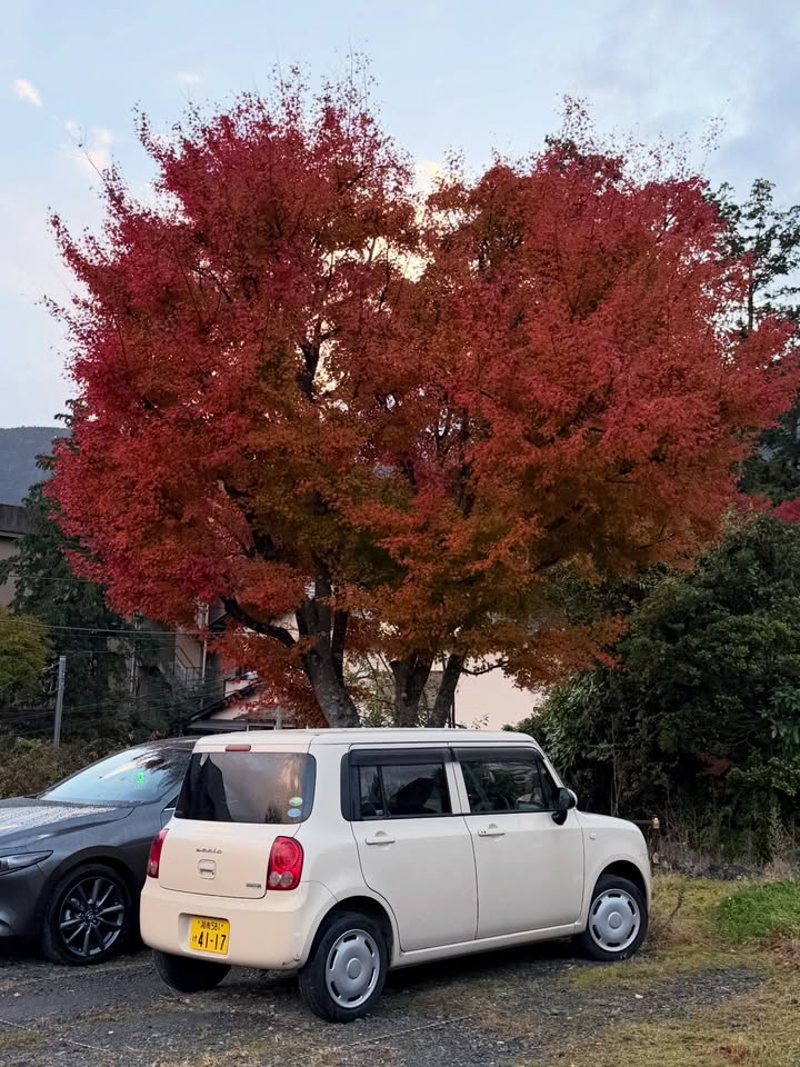 บัว - นลินทิพย์ สกุลอ่องอำไพ