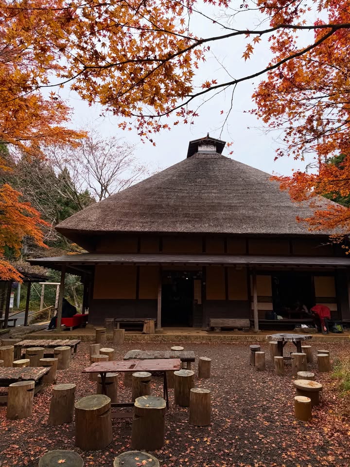 บัว - นลินทิพย์ สกุลอ่องอำไพ