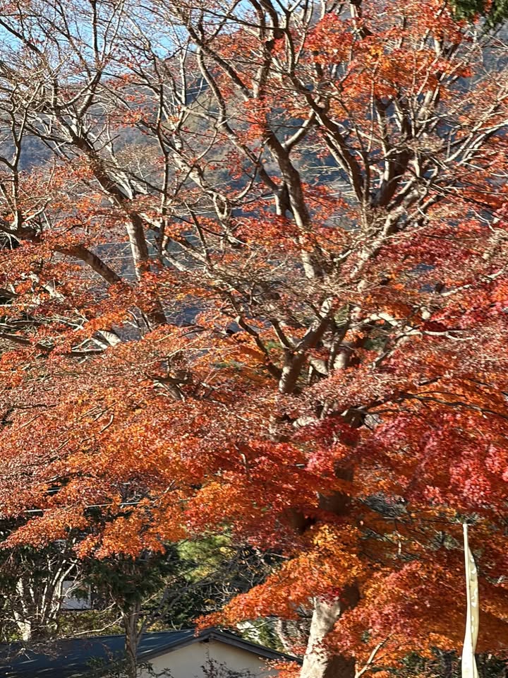 บัว - นลินทิพย์ สกุลอ่องอำไพ