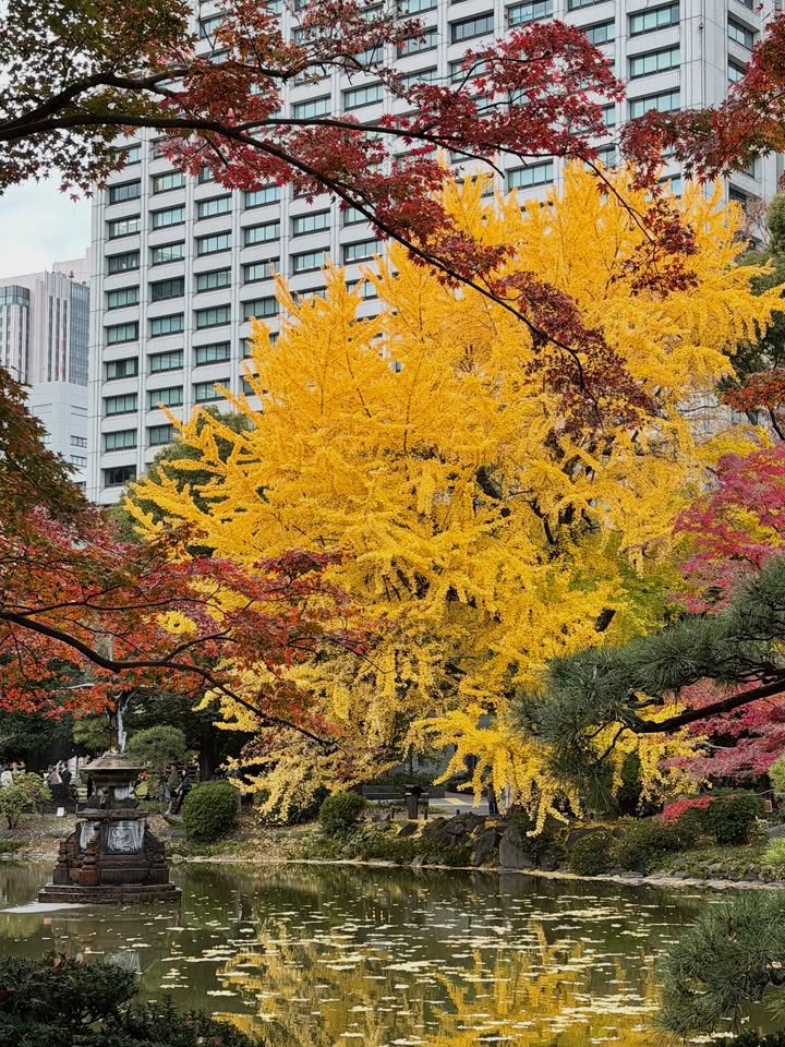 บัว - นลินทิพย์ สกุลอ่องอำไพ