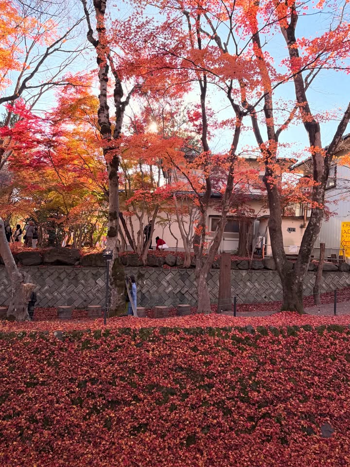 บัว - นลินทิพย์ สกุลอ่องอำไพ