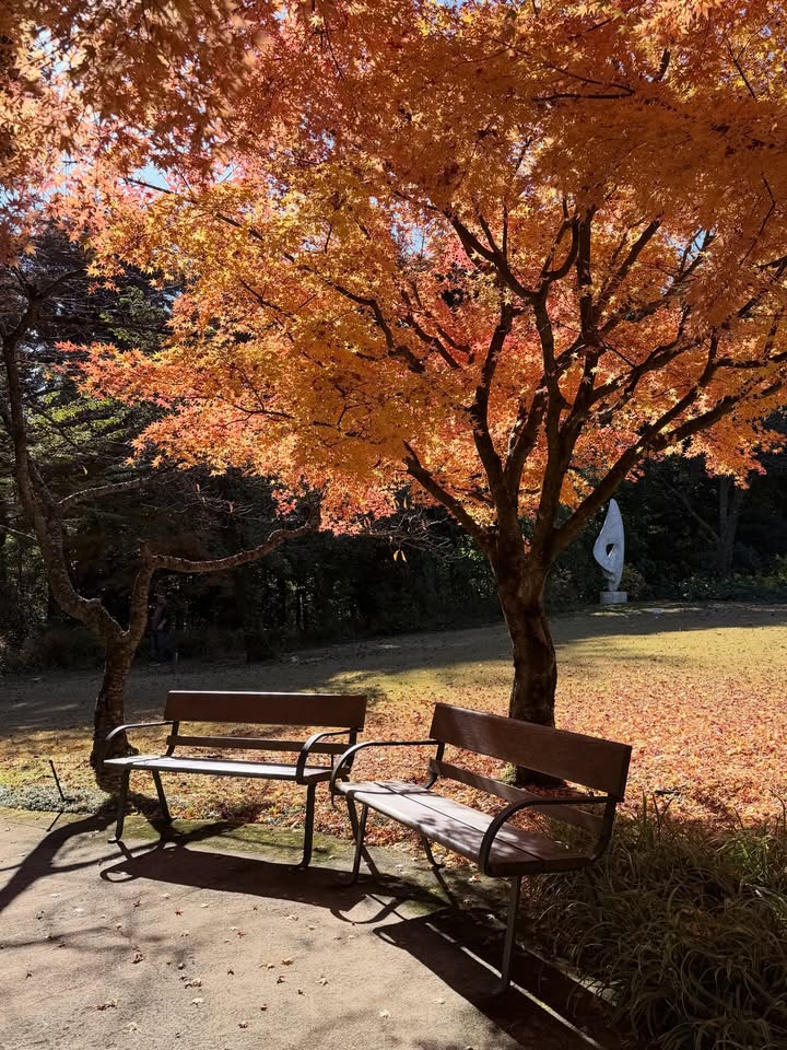 บัว - นลินทิพย์ สกุลอ่องอำไพ