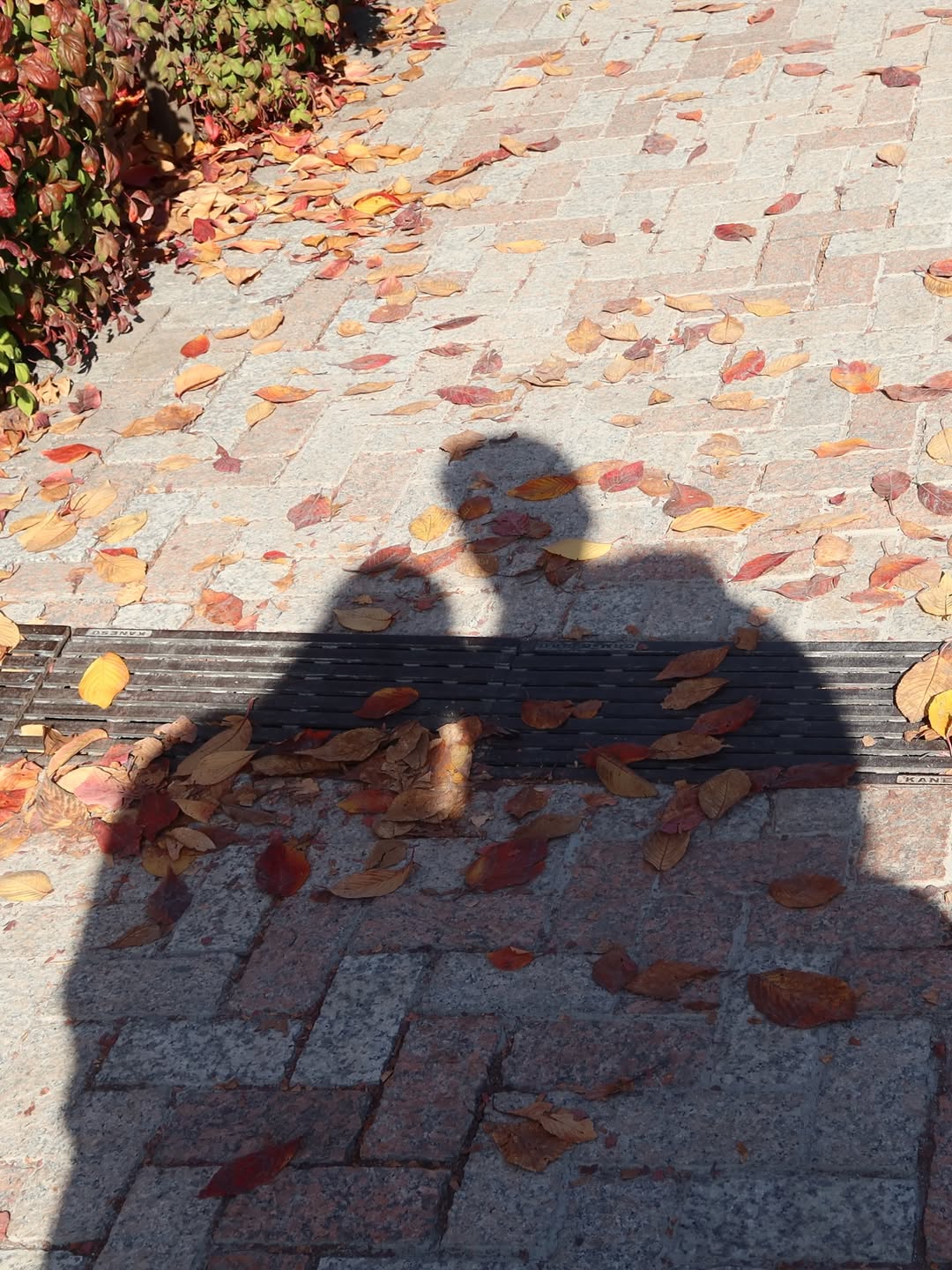 บัว - นลินทิพย์ สกุลอ่องอำไพ