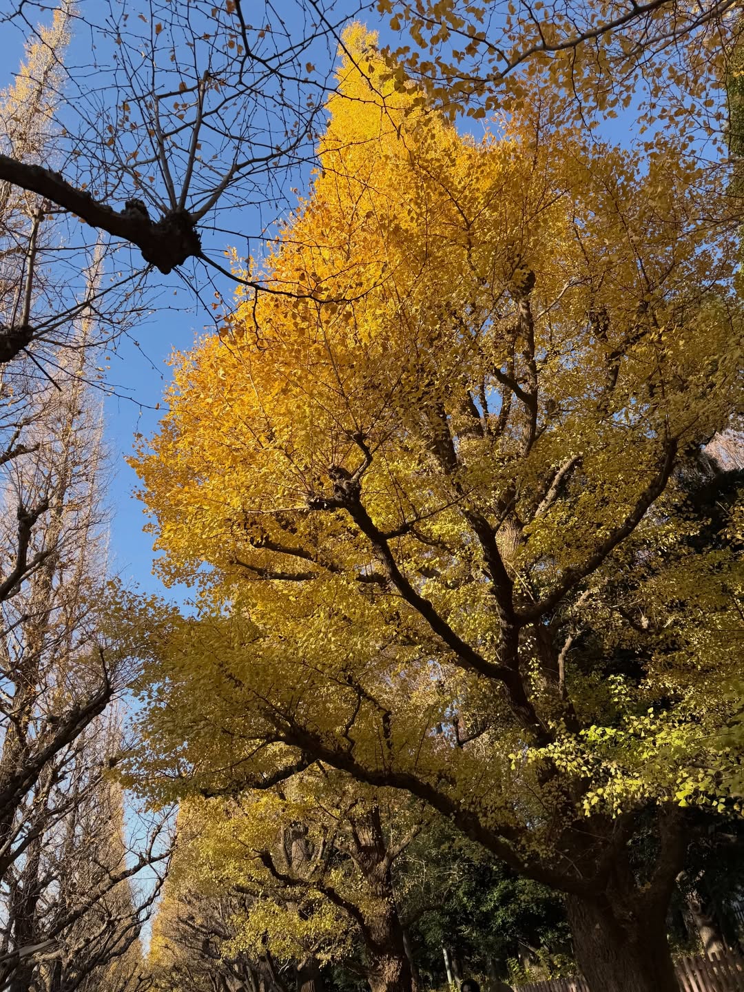 บัว - นลินทิพย์ สกุลอ่องอำไพ