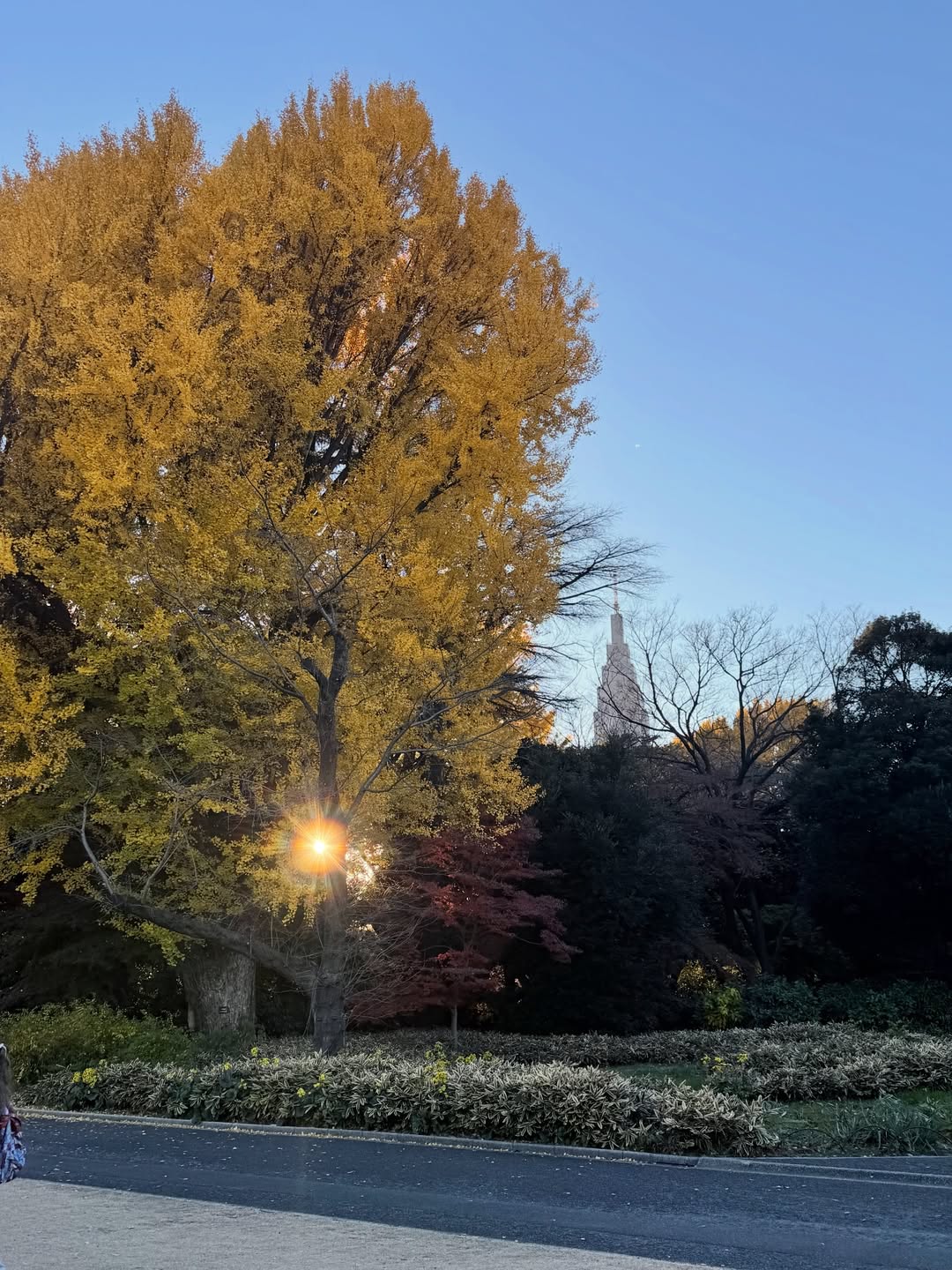 บัว - นลินทิพย์ สกุลอ่องอำไพ