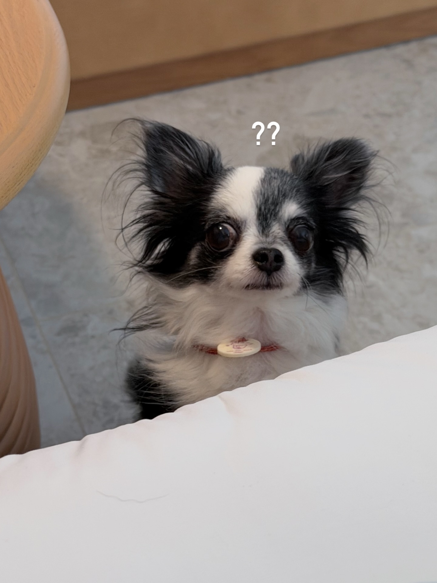 บัว - นลินทิพย์ สกุลอ่องอำไพ